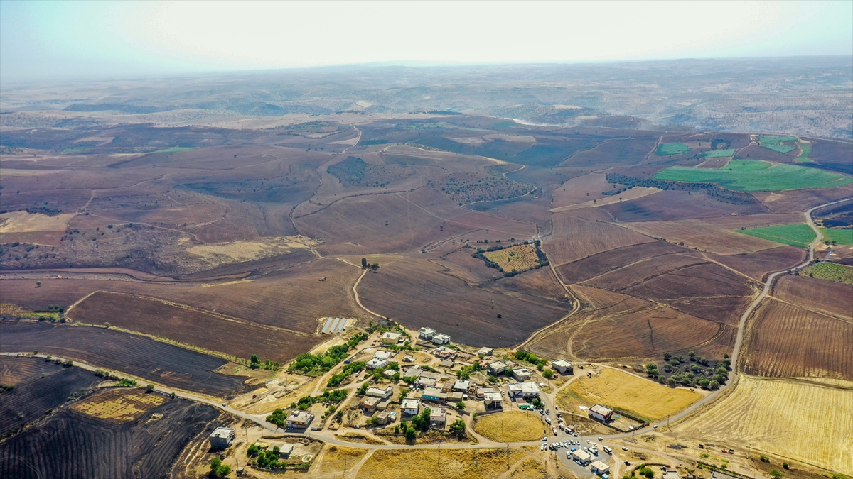 Diyarbakır ve Mardin arasındaki anız yangınında facianın boyutu görüntülendi