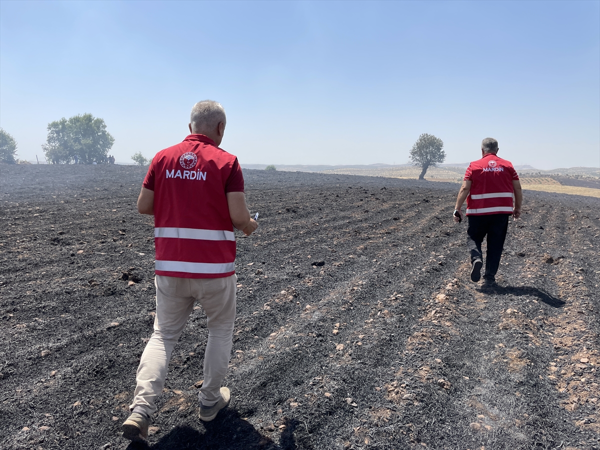 Diyarbakır ve Mardin arasındaki anız yangınında facianın boyutu görüntülendi