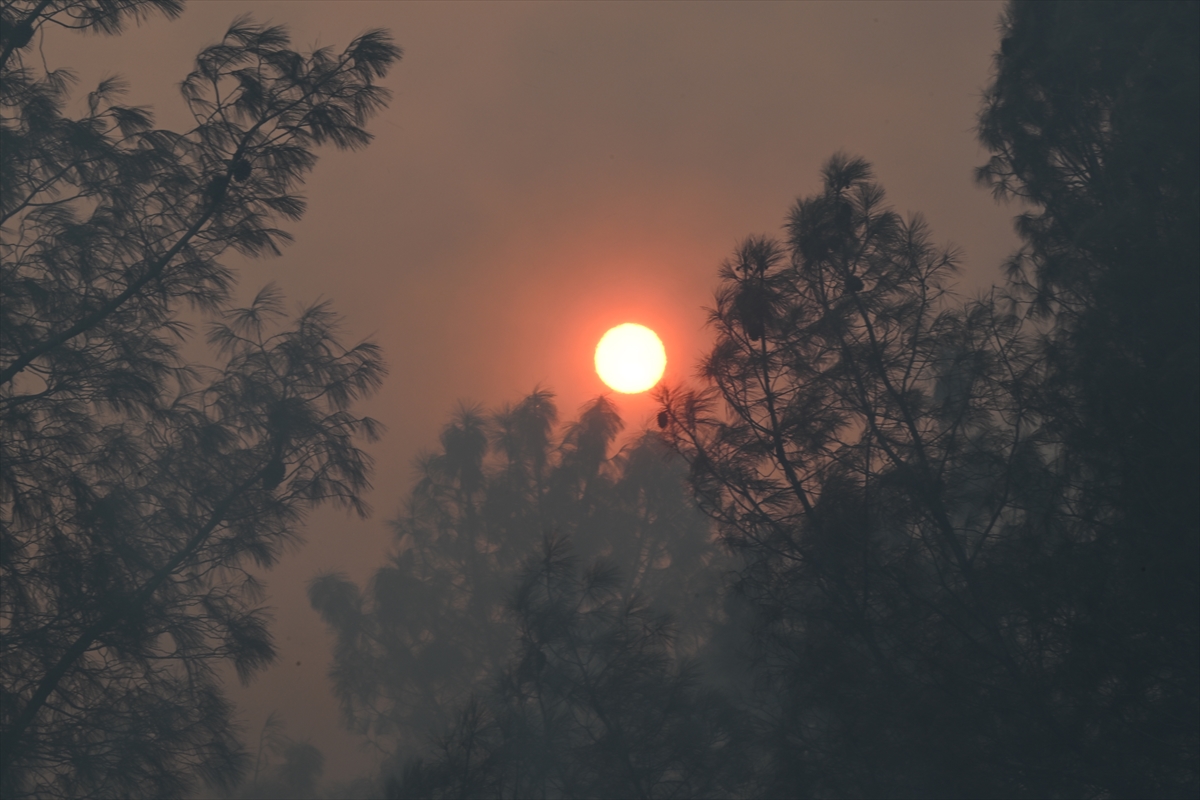 Kaliforniya'da orman yangınlarıyla mücadele