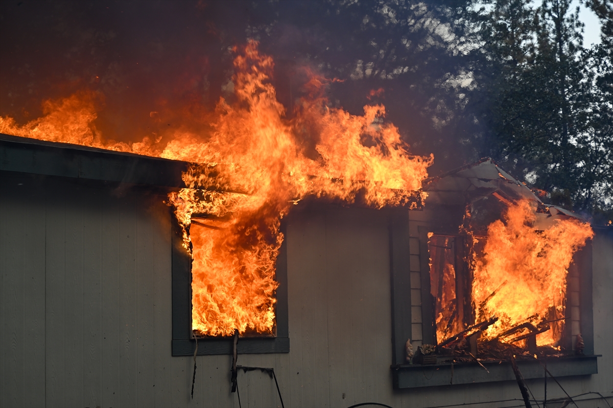 Kaliforniya'da orman yangınlarıyla mücadele