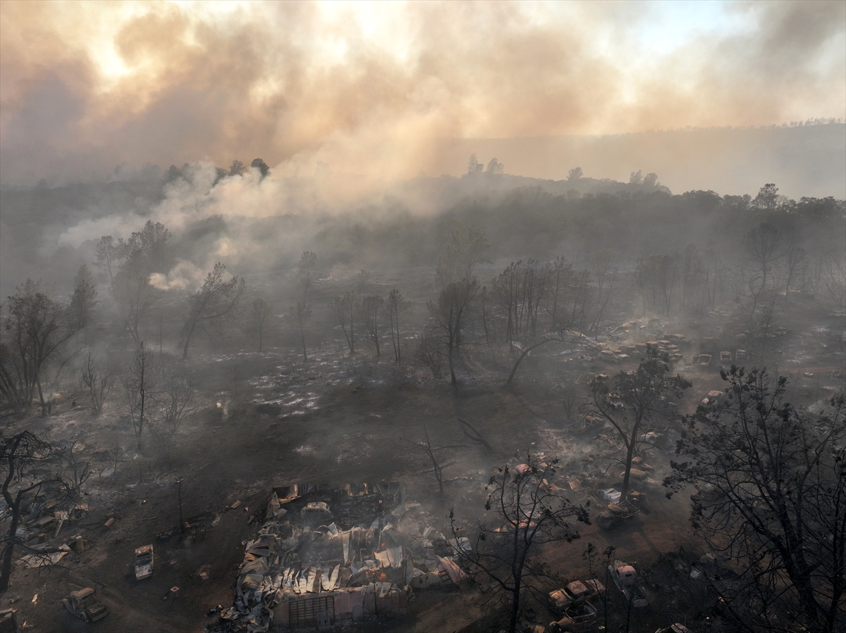 Kaliforniya'da orman yangınlarıyla mücadele