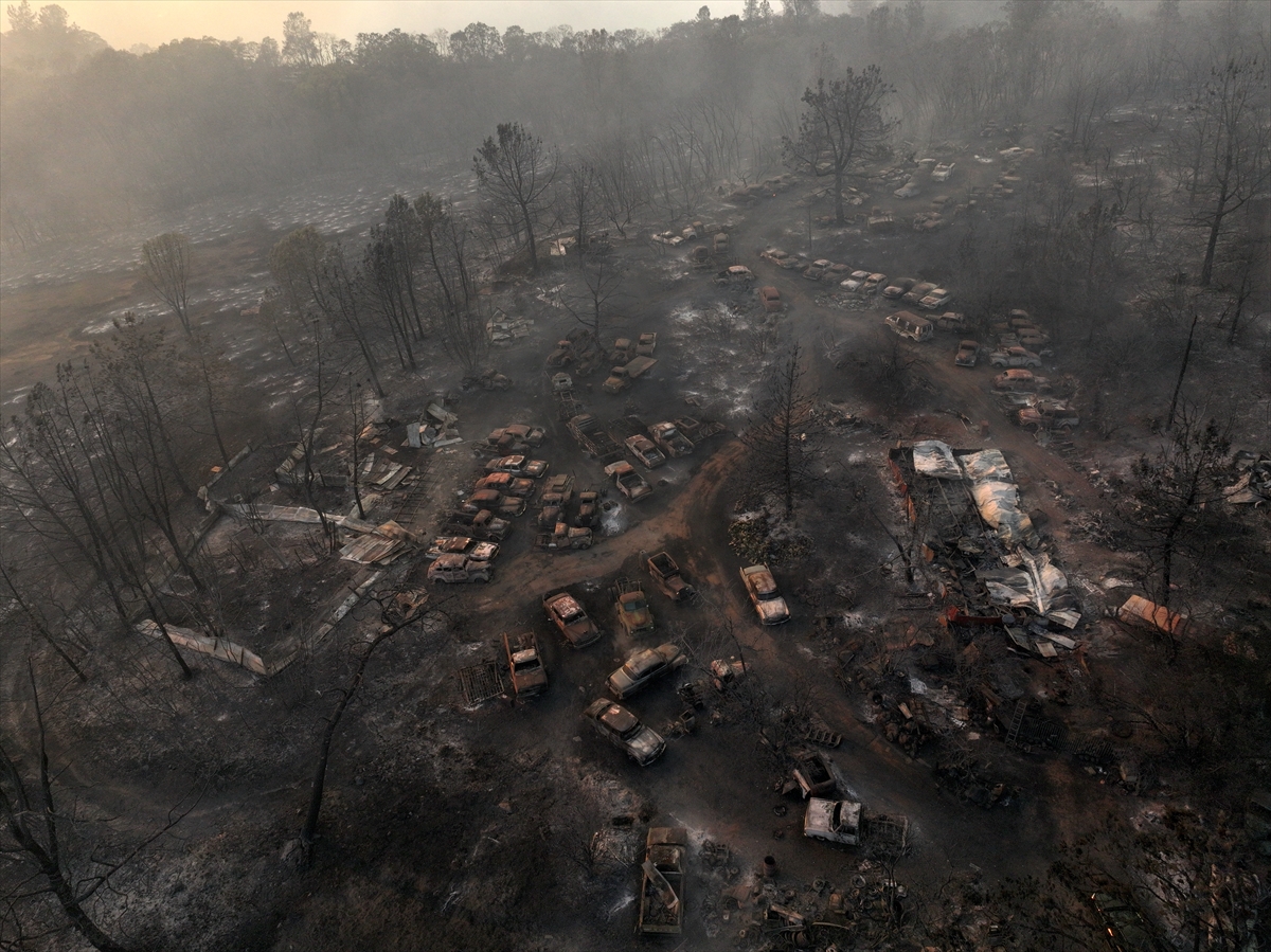 Kaliforniya'da orman yangınlarıyla mücadele