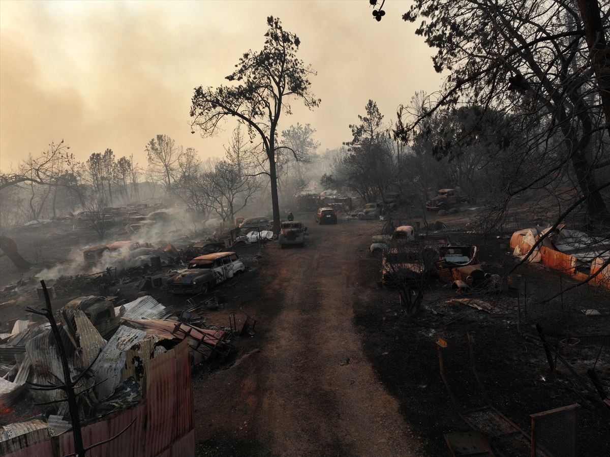 Kaliforniya'da orman yangınlarıyla mücadele