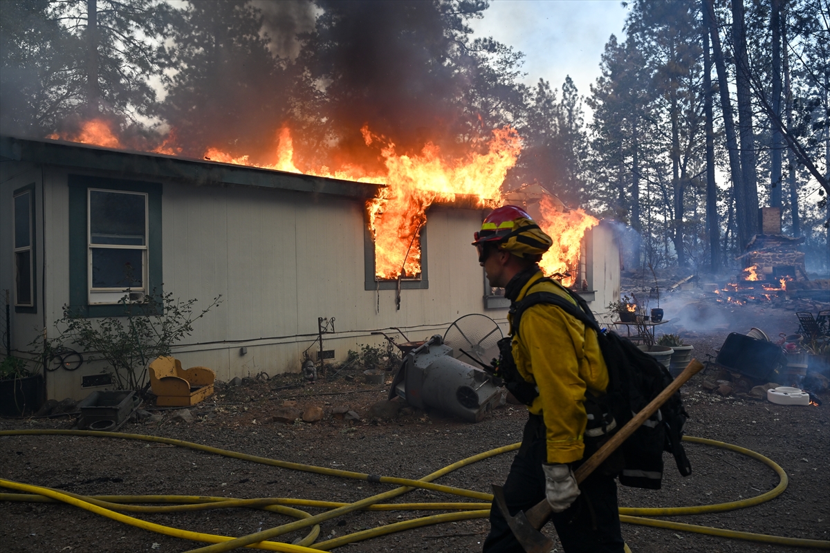 Kaliforniya'da orman yangınlarıyla mücadele