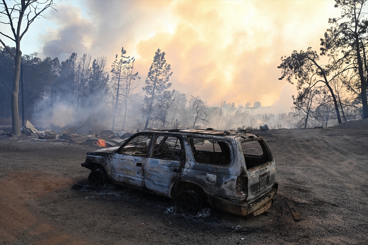 Kaliforniya'da orman yangınlarıyla mücadele