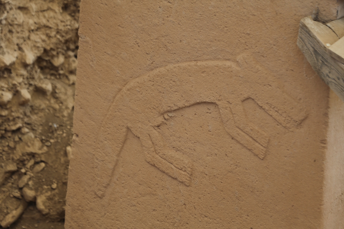 Göbeklitepe'de yeni bulgular