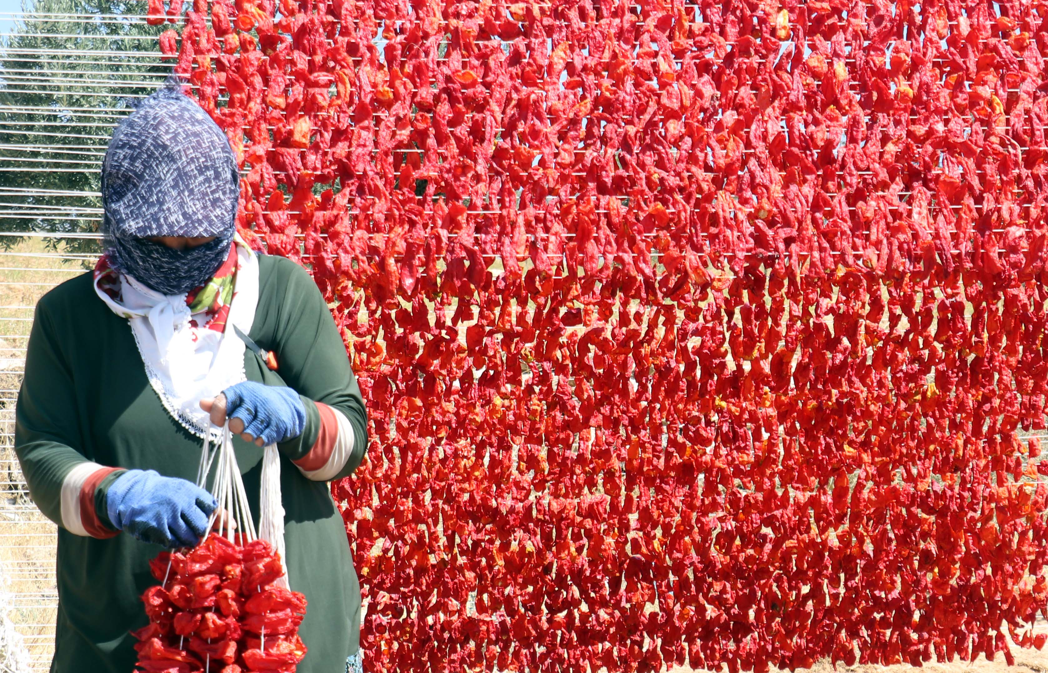 Gaziantep'te kurutma sezonu