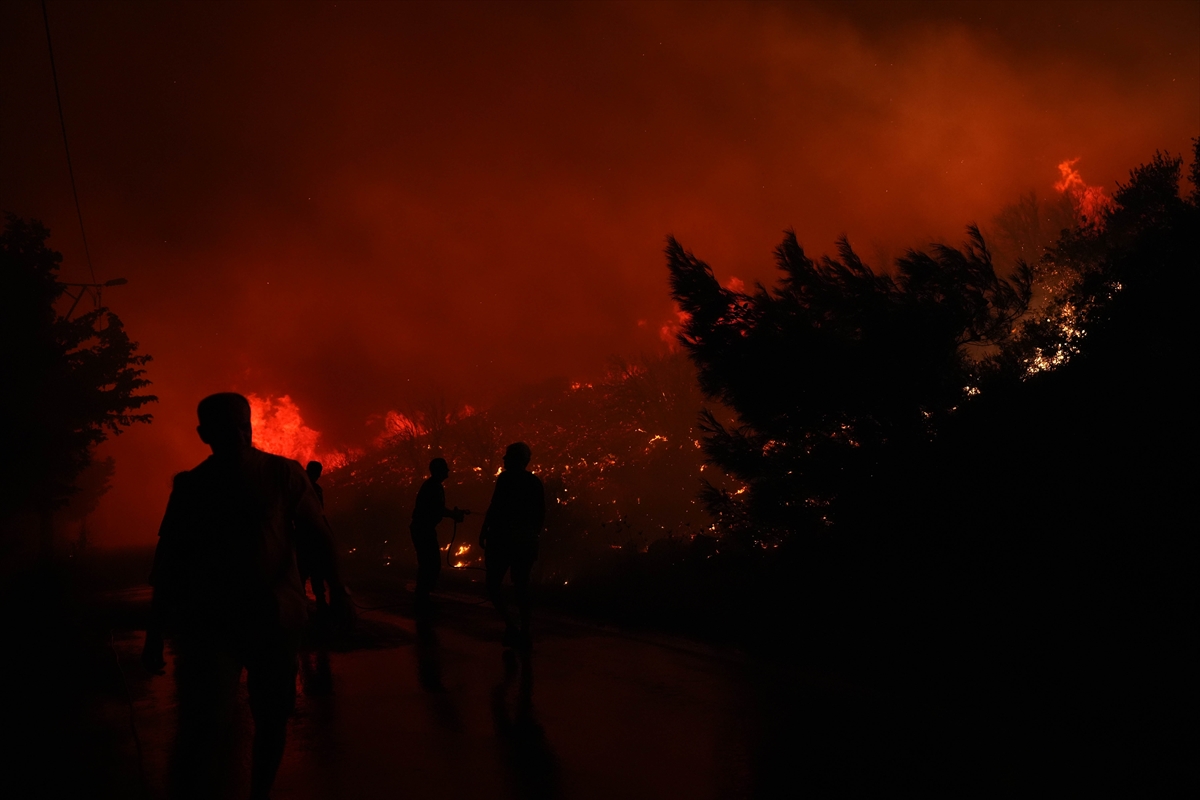 İzmir, Urla'da çıkan yangına müdahale ediliyor