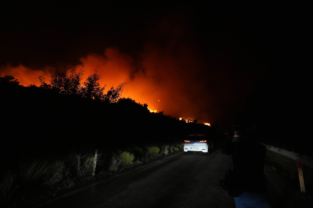 İzmir, Urla'da çıkan yangına müdahale ediliyor