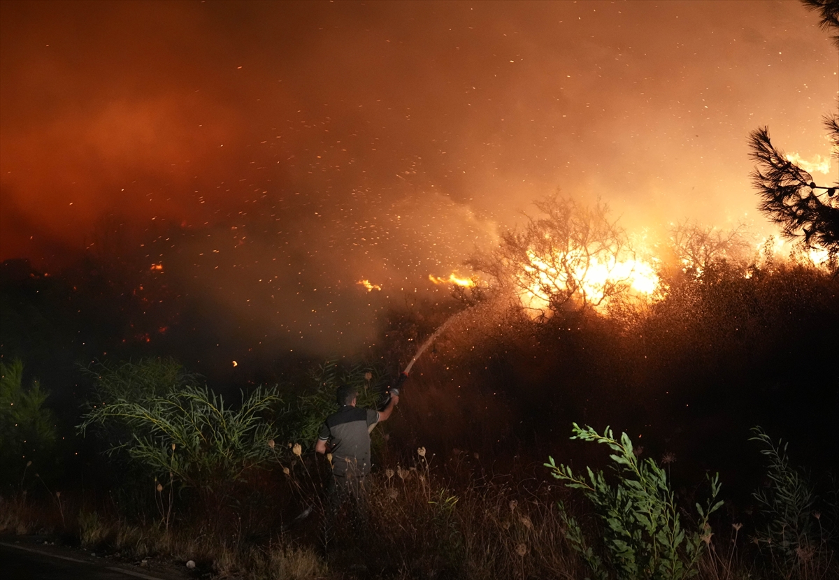 İzmir, Urla'da çıkan yangına müdahale ediliyor