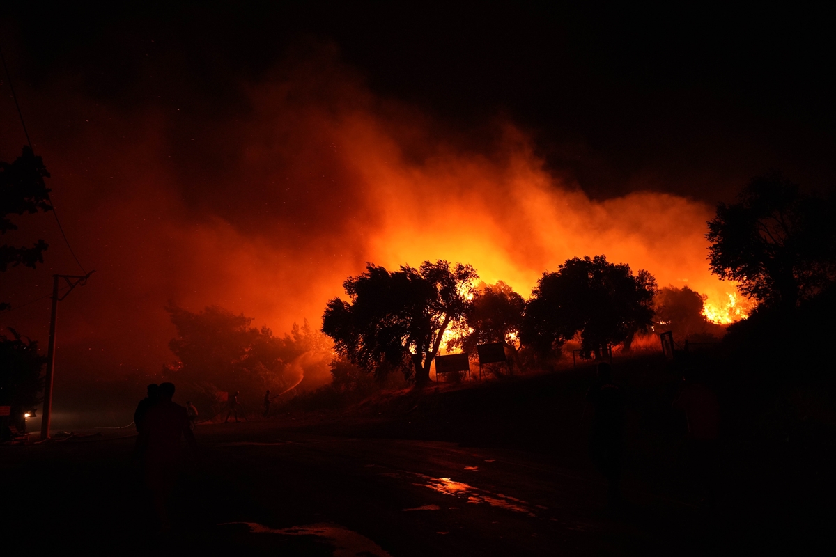 İzmir, Urla'da çıkan yangına müdahale ediliyor