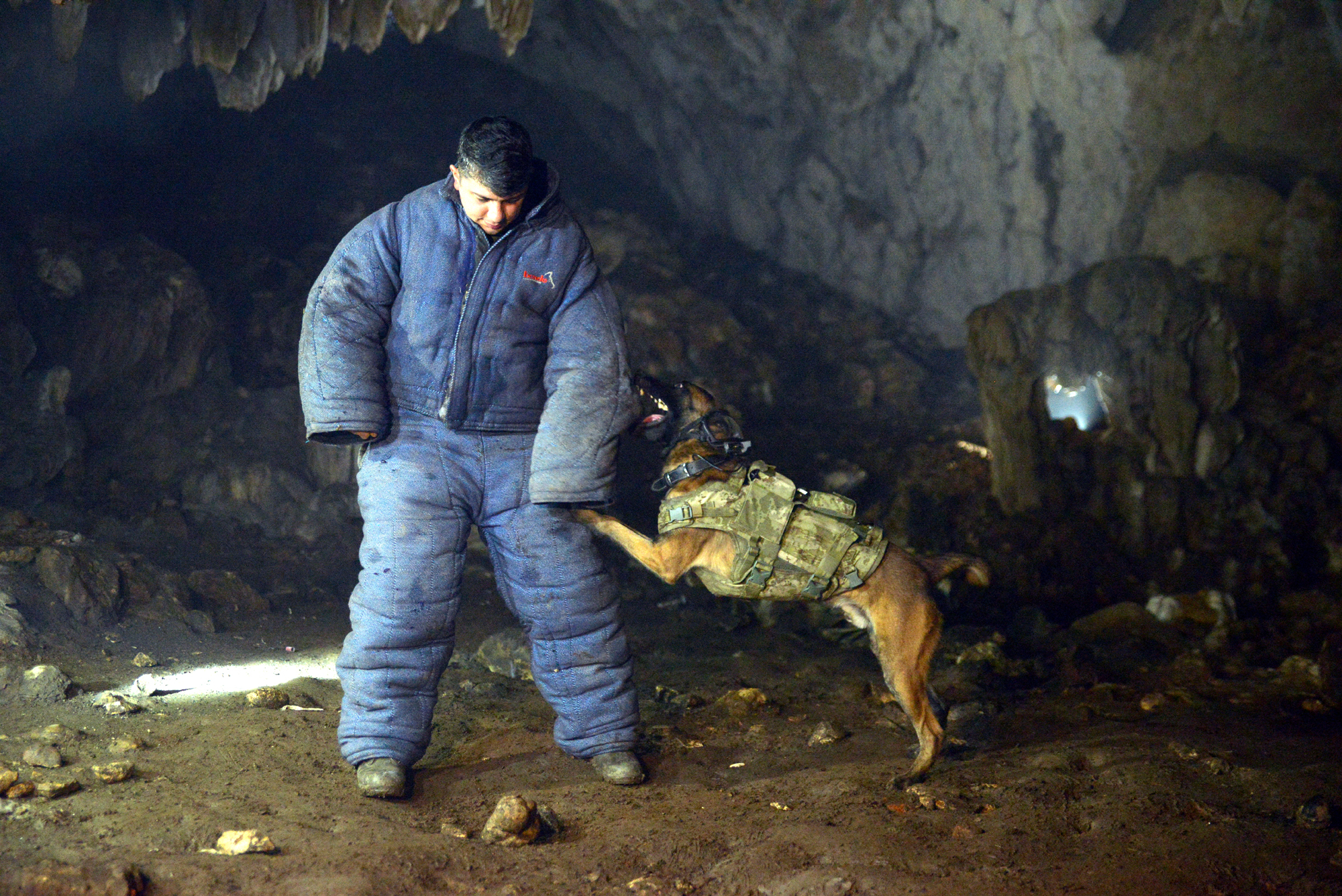 TSK'nın askeri köpekleri için yeni bir sistem geliştirildi