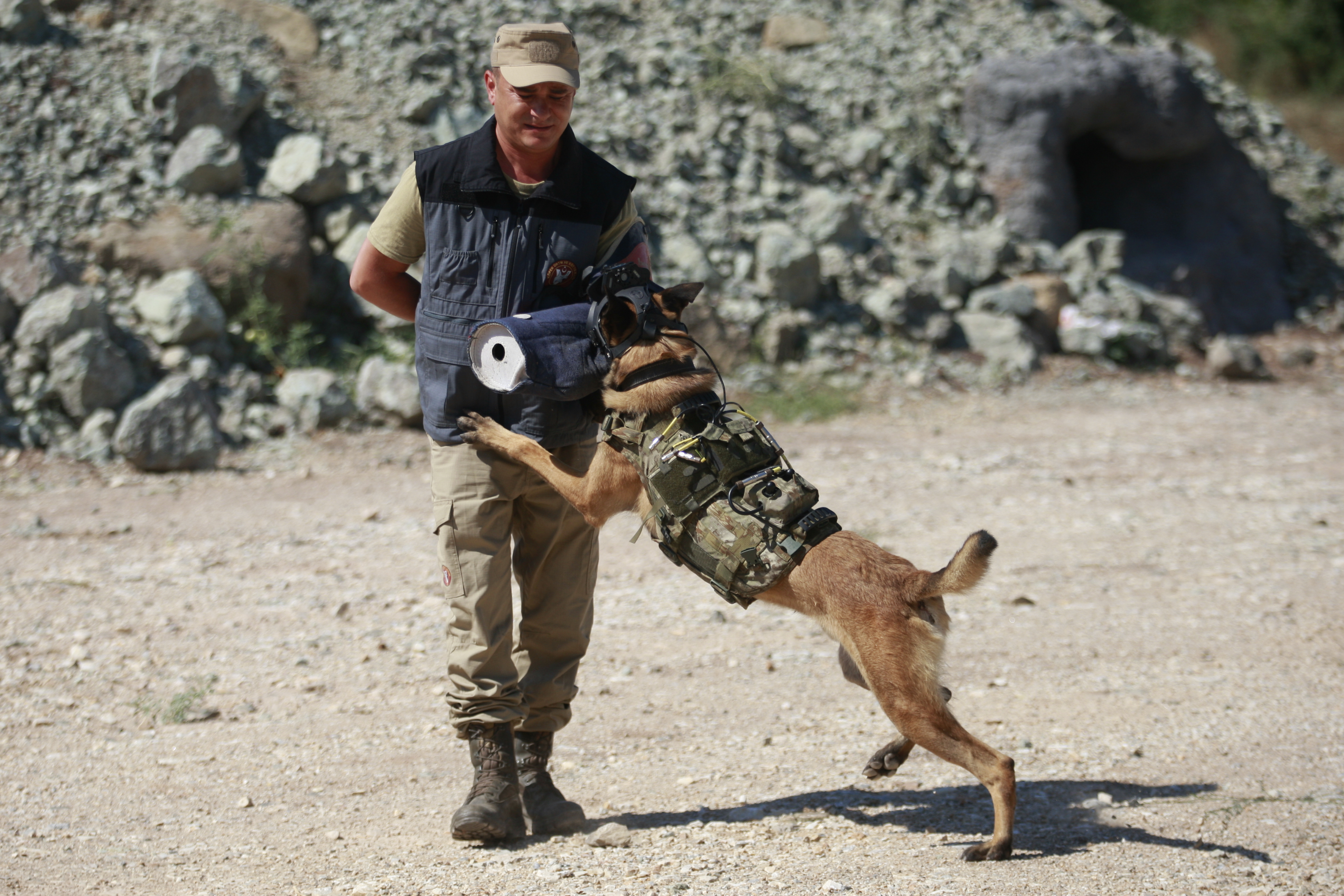 TSK'nın askeri köpekleri için yeni bir sistem geliştirildi