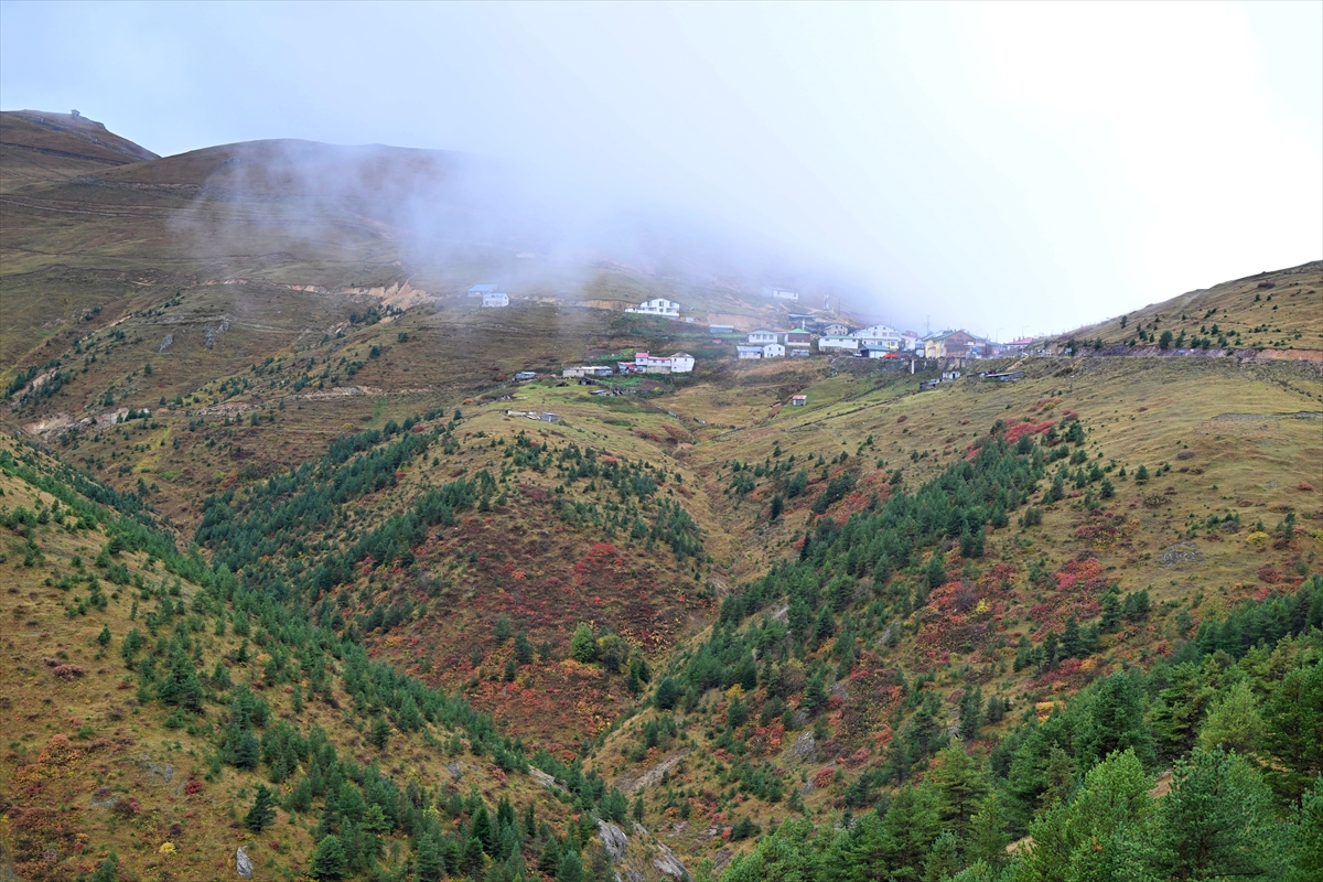 Zigana Dağı'nda sonbahar renkleri