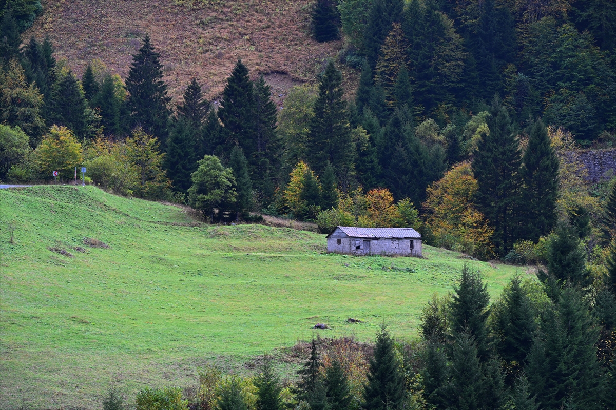 Zigana Dağı'nda sonbahar renkleri