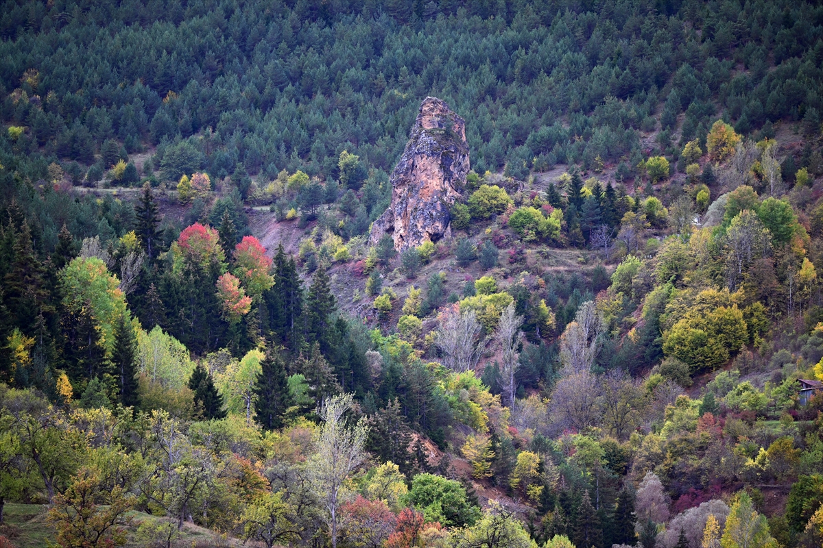 Zigana Dağı'nda sonbahar renkleri