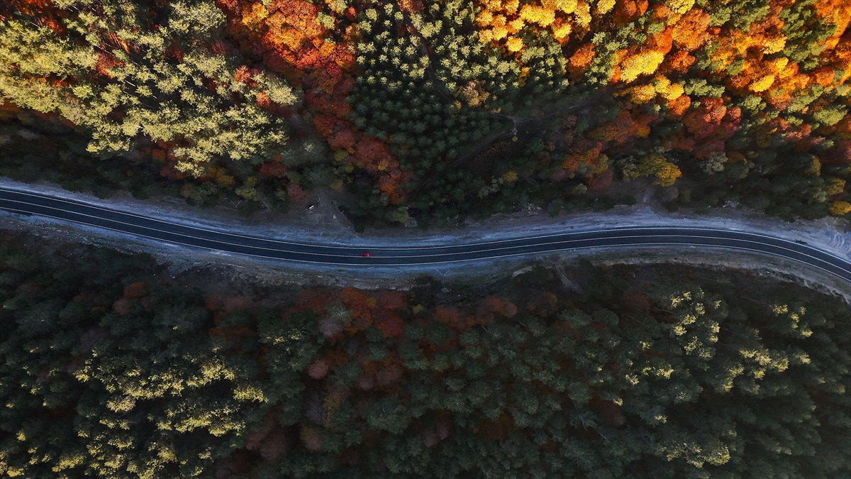 Domaniç Dağları'nda rengarenk sonbahar