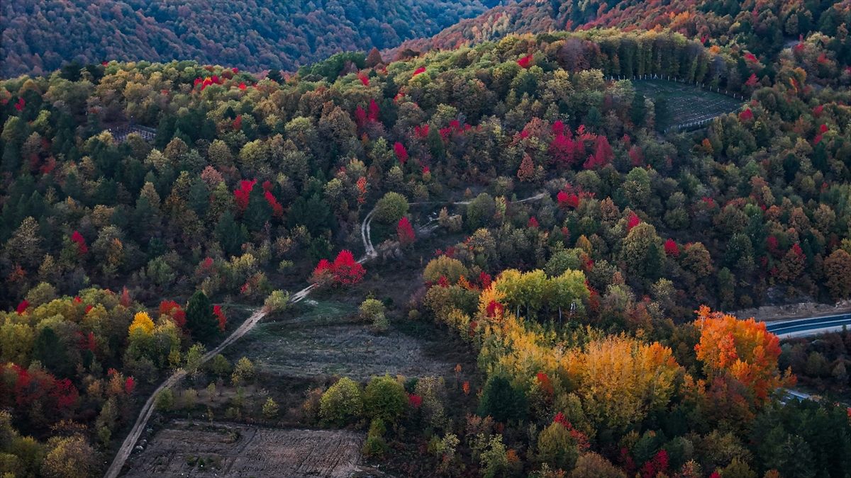 Domaniç Dağları'nda rengarenk sonbahar