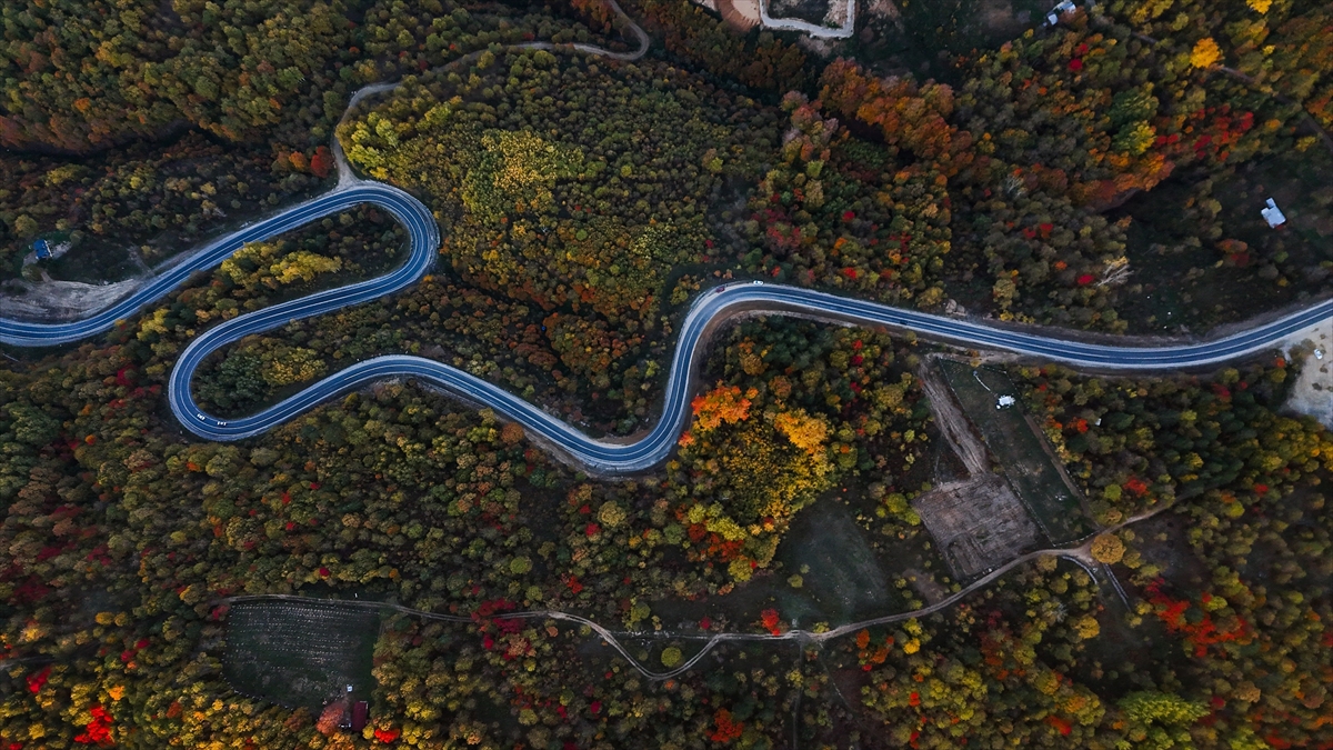 Domaniç Dağları'nda rengarenk sonbahar