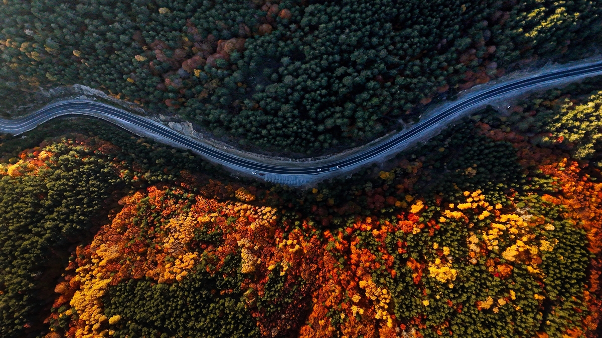 Domaniç Dağları'nda rengarenk sonbahar