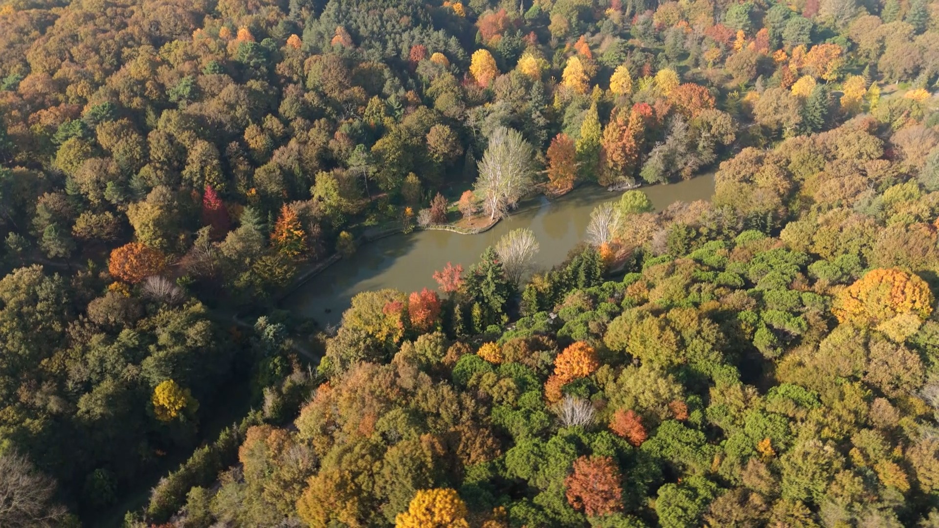 Atatürk Arboretumu’nda kartpostallık sonbahar görüntüleri
