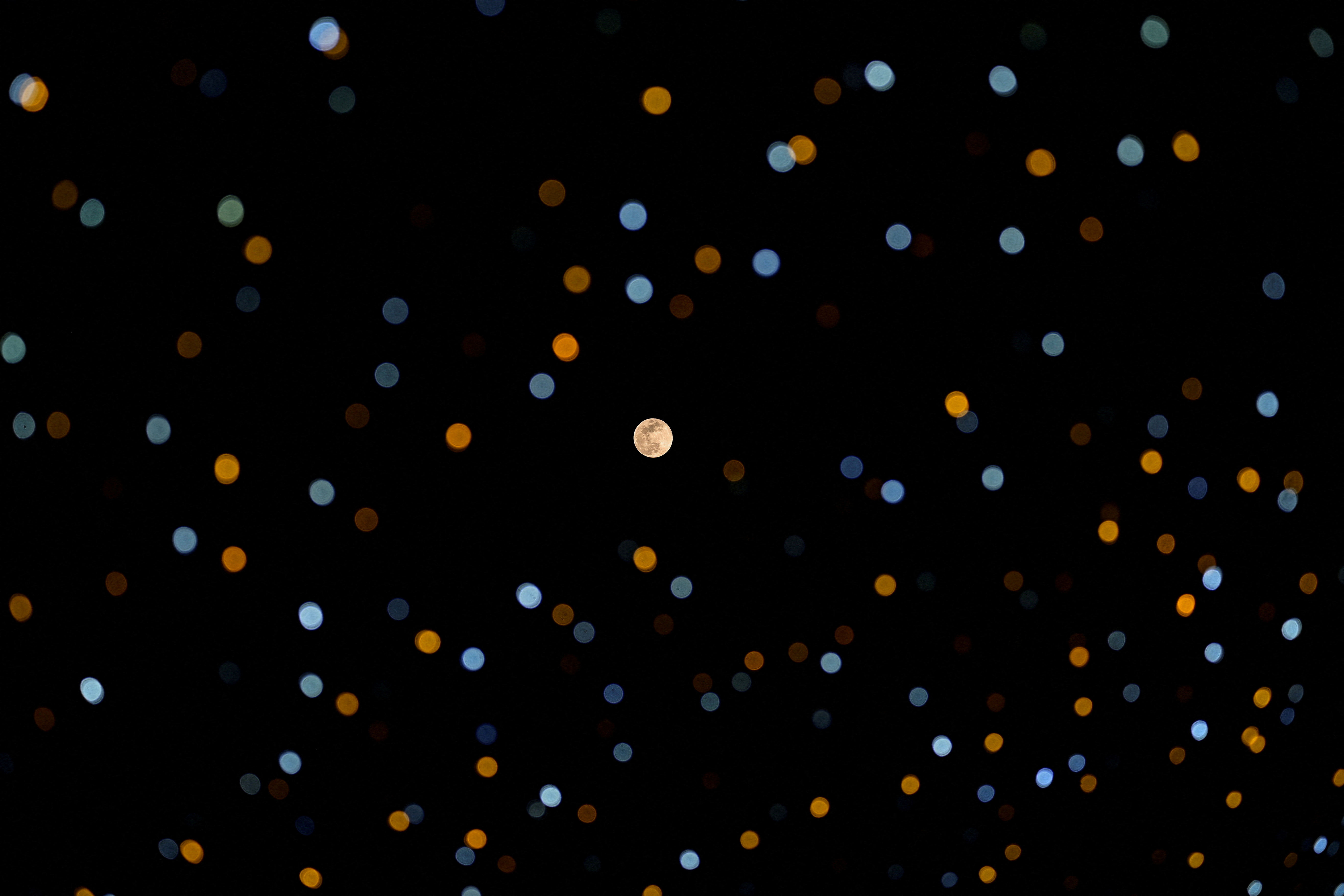 2024 yılına damgasını vuran fotoğraflar