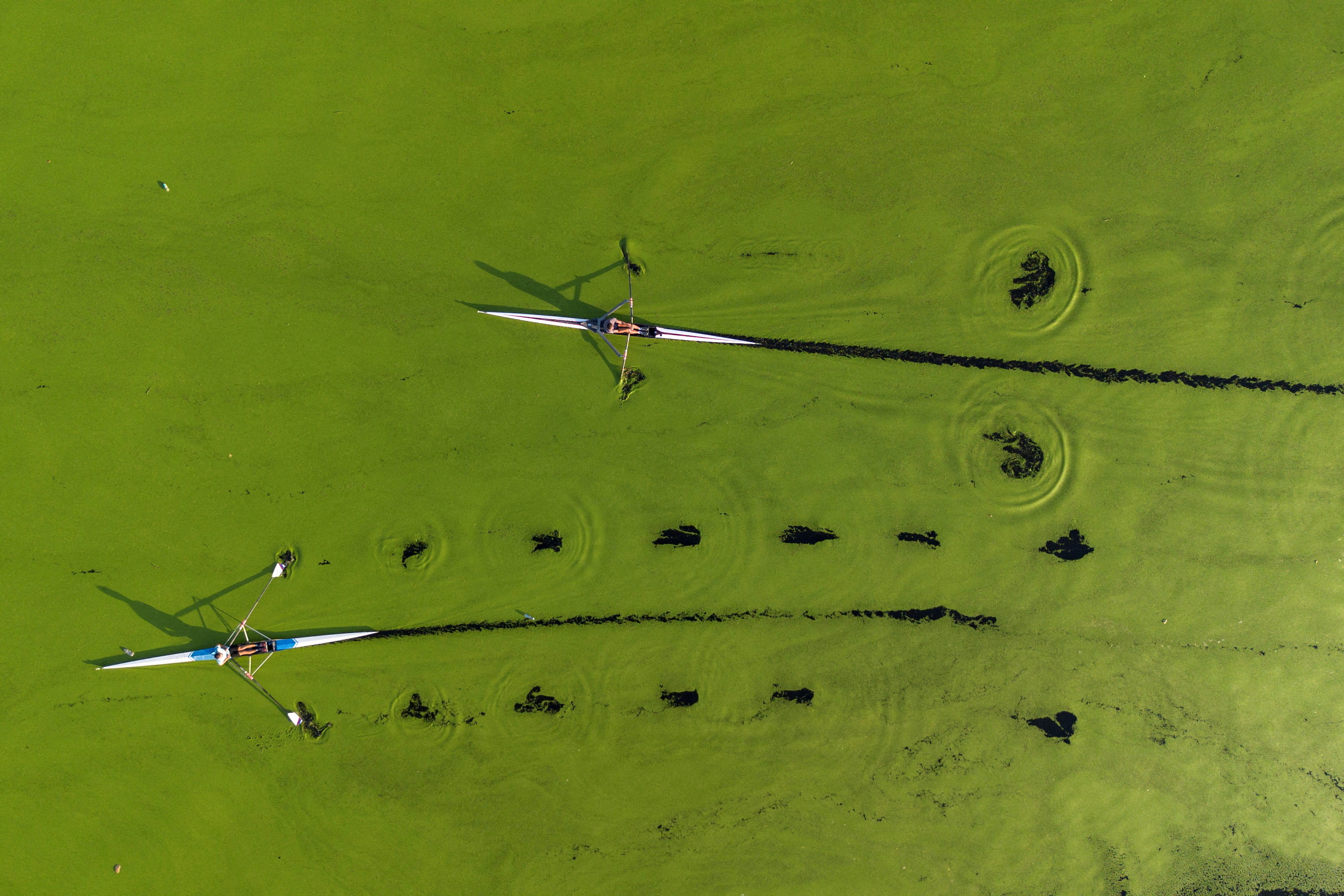 2024 yılına damgasını vuran fotoğraflar