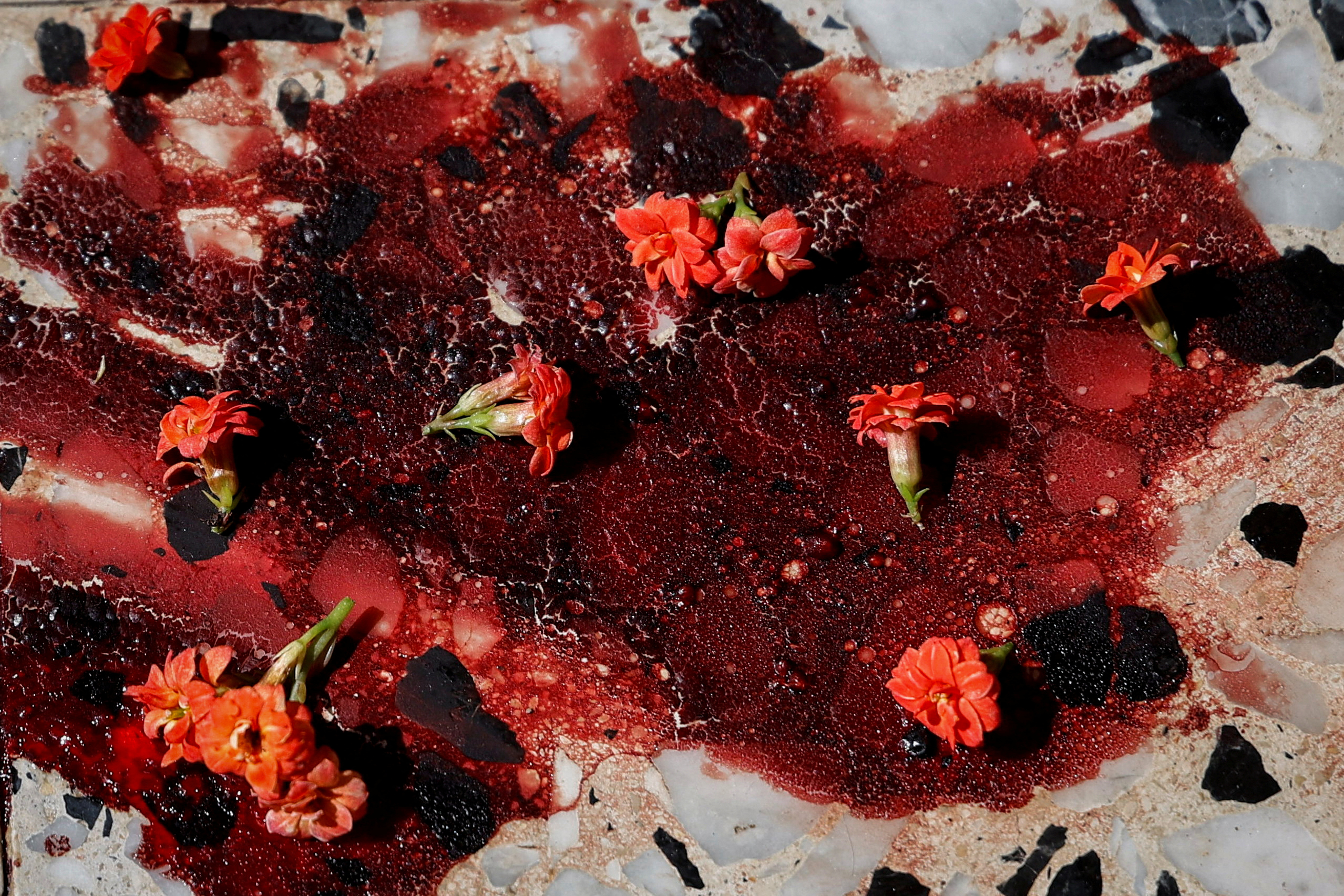 2024 yılına damgasını vuran fotoğraflar