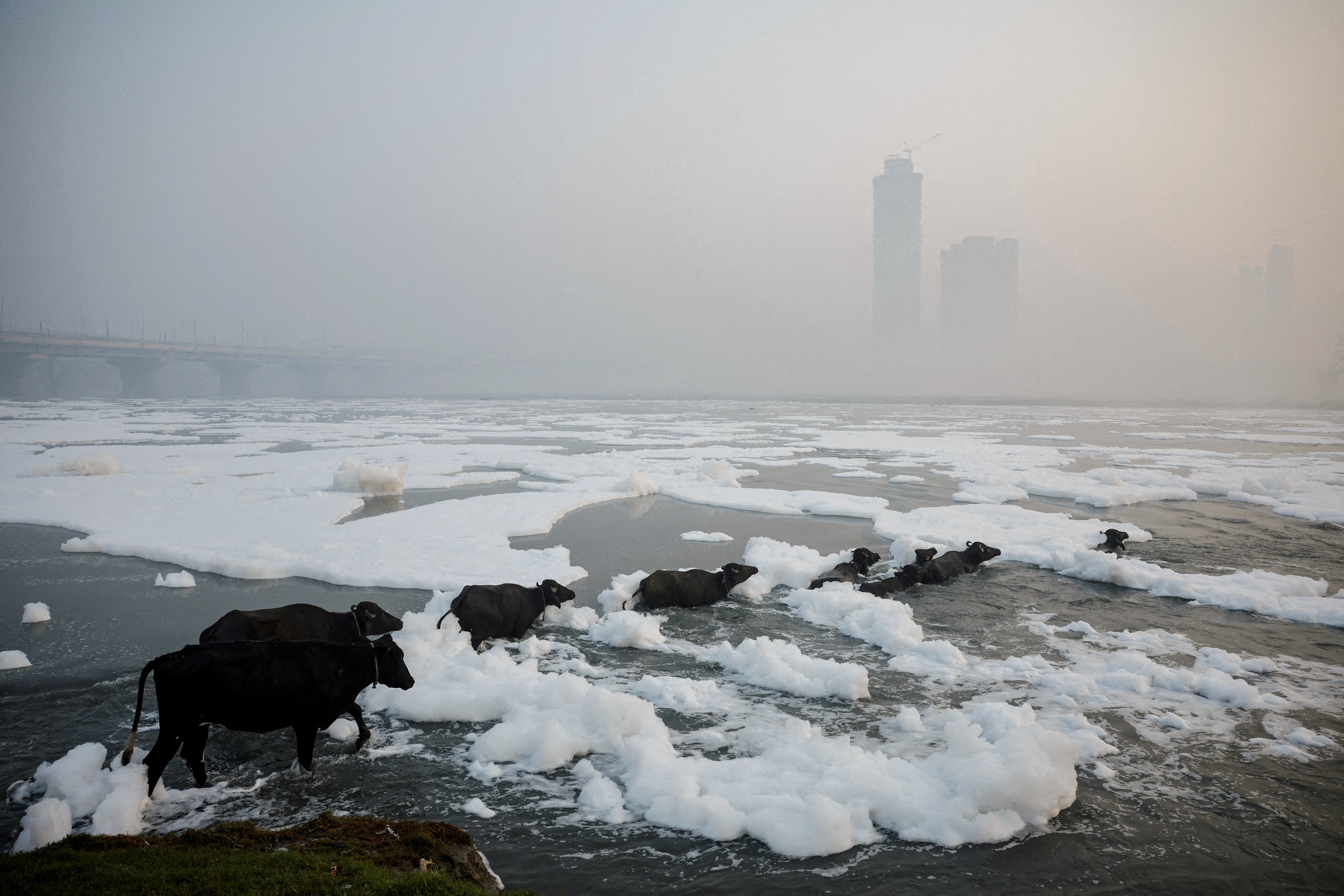 2024 yılına damgasını vuran fotoğraflar