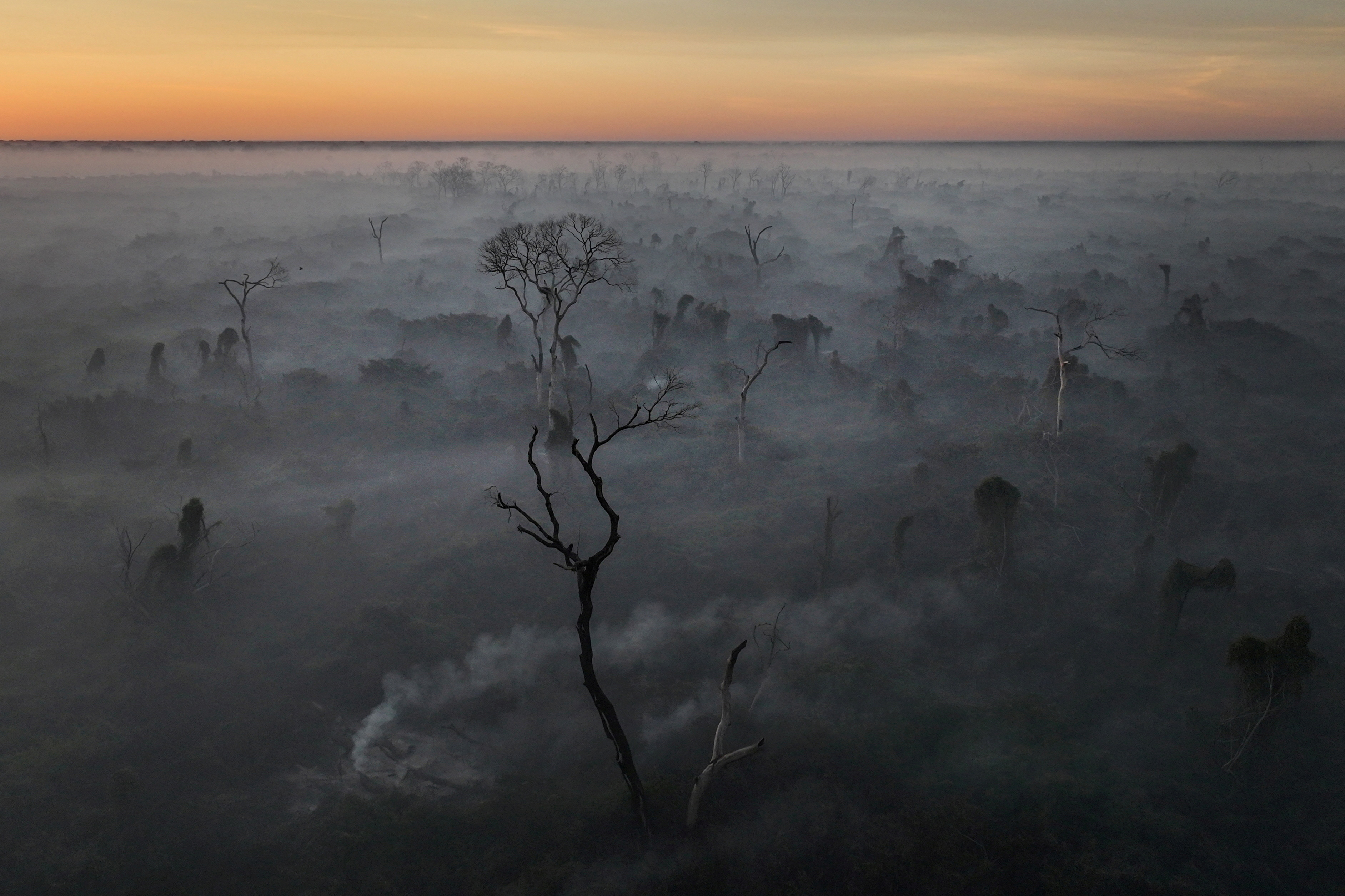 2024 yılına damgasını vuran fotoğraflar
