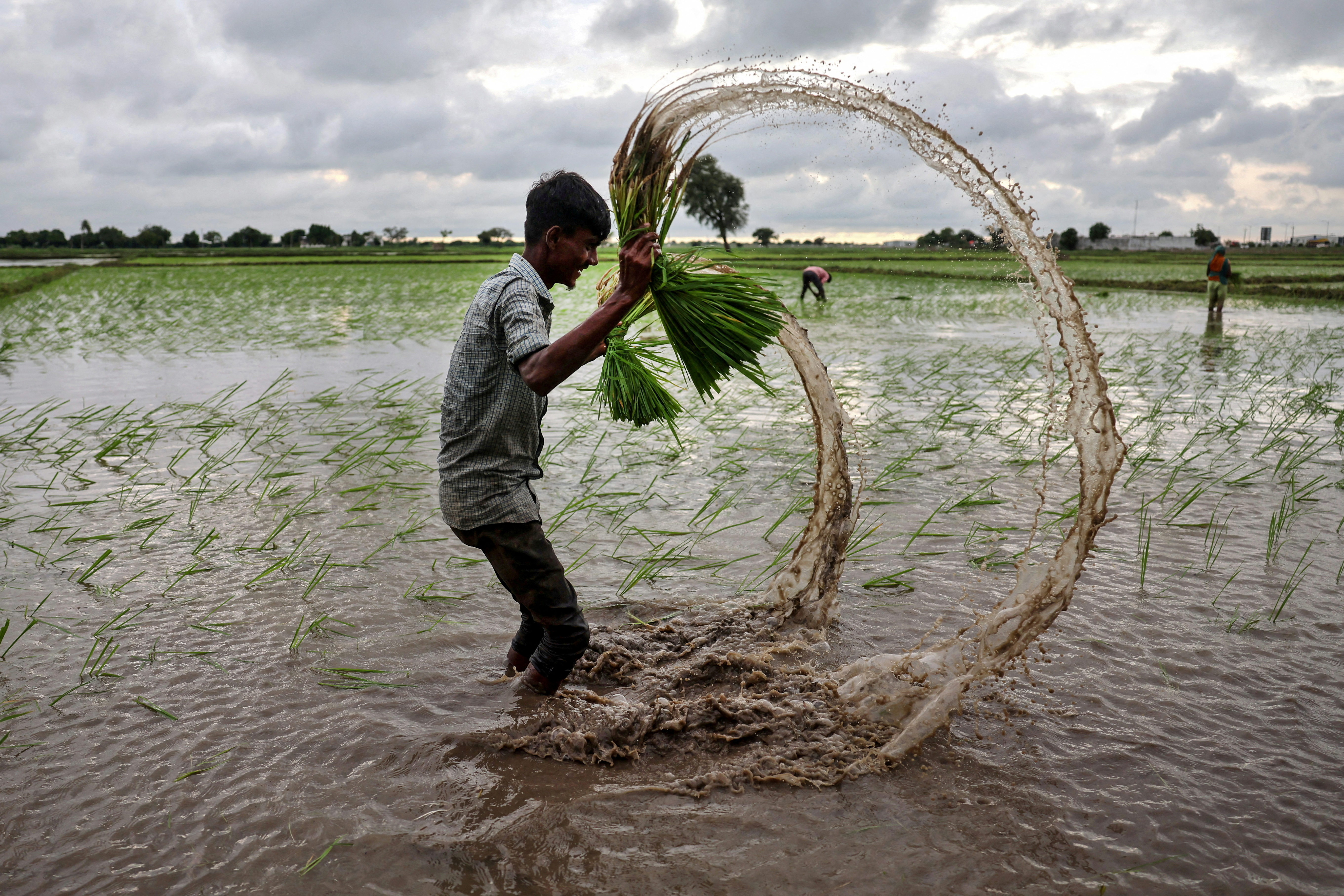 2024 yılına damgasını vuran fotoğraflar