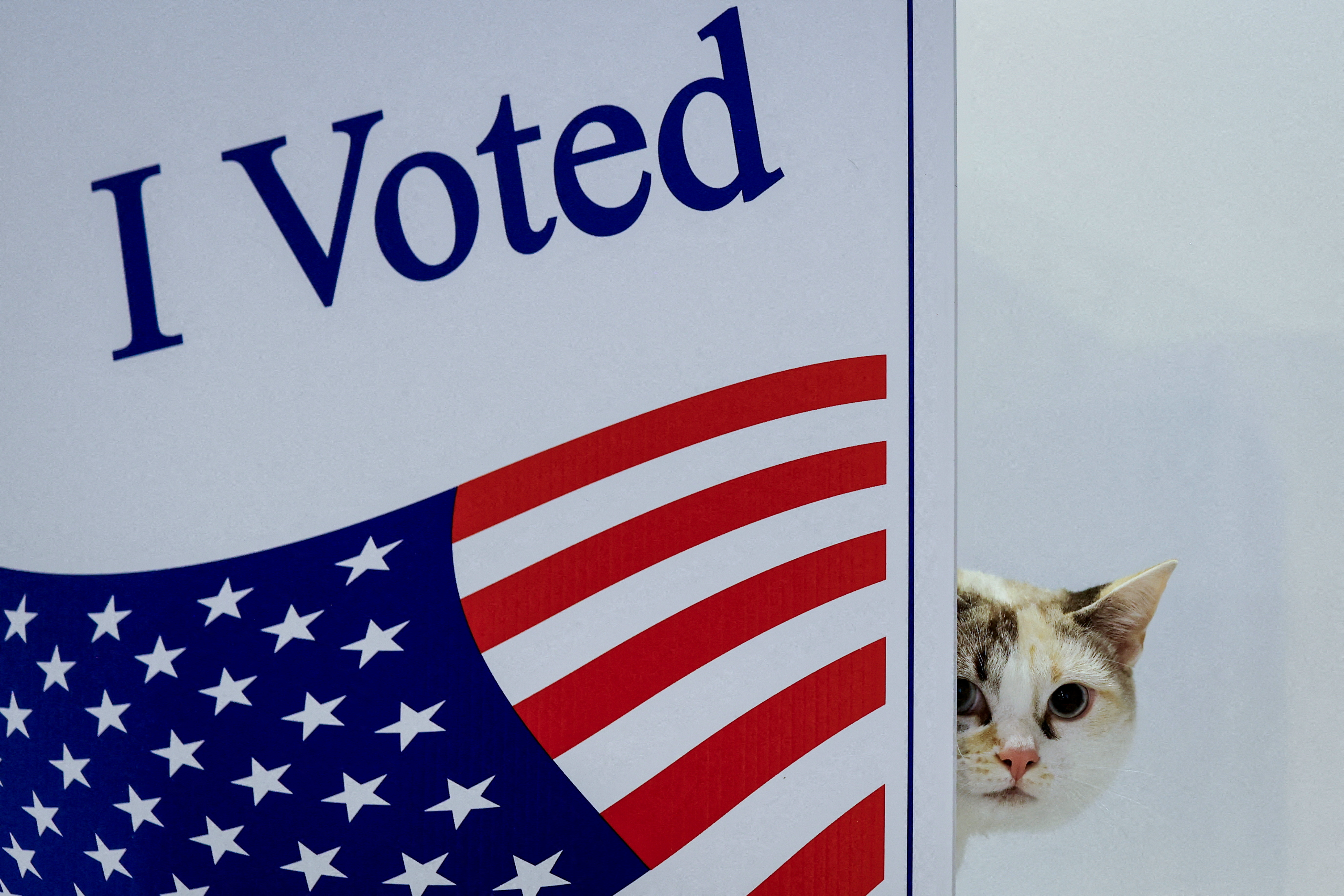 2024 yılına damgasını vuran fotoğraflar