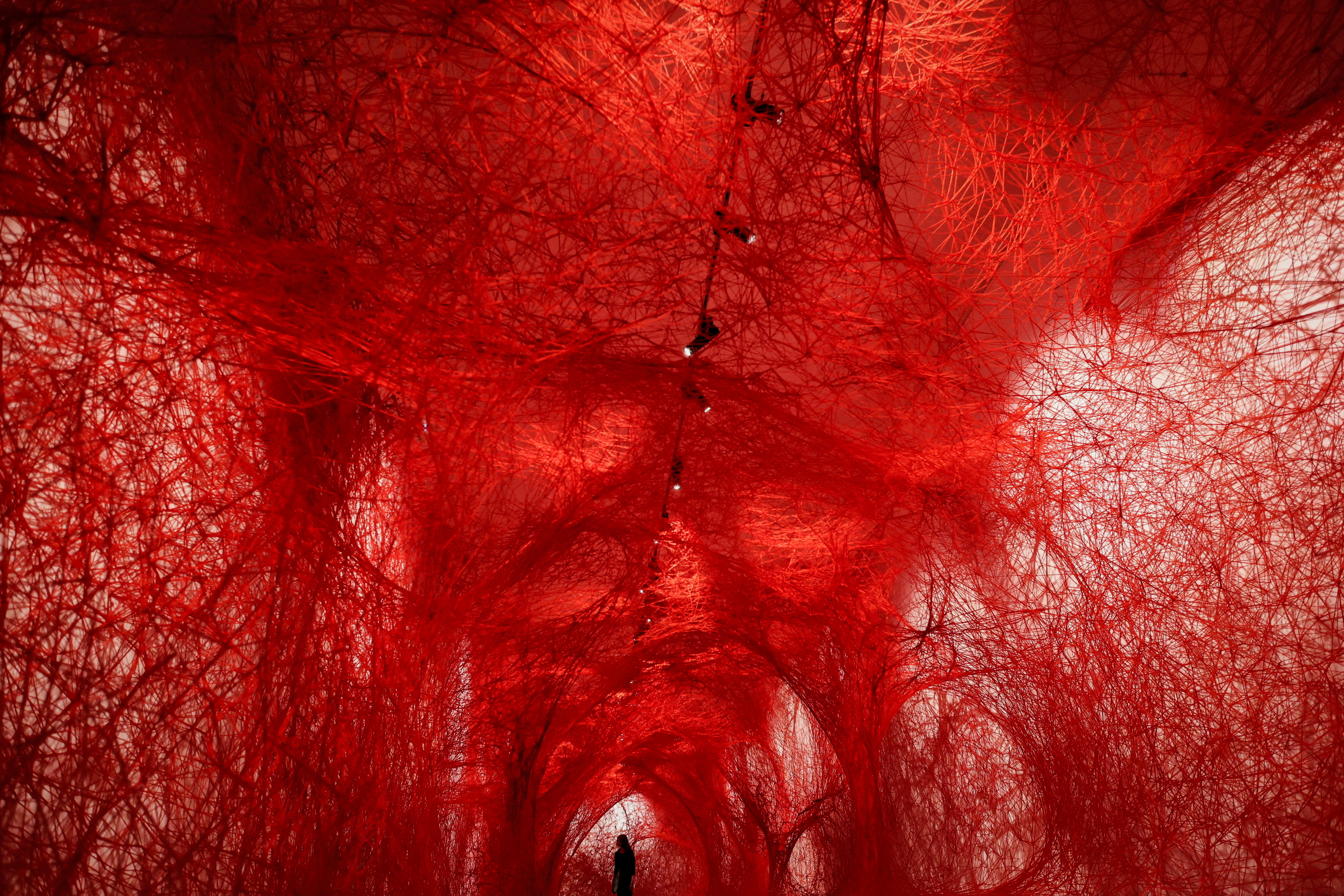 2024 yılına damgasını vuran fotoğraflar