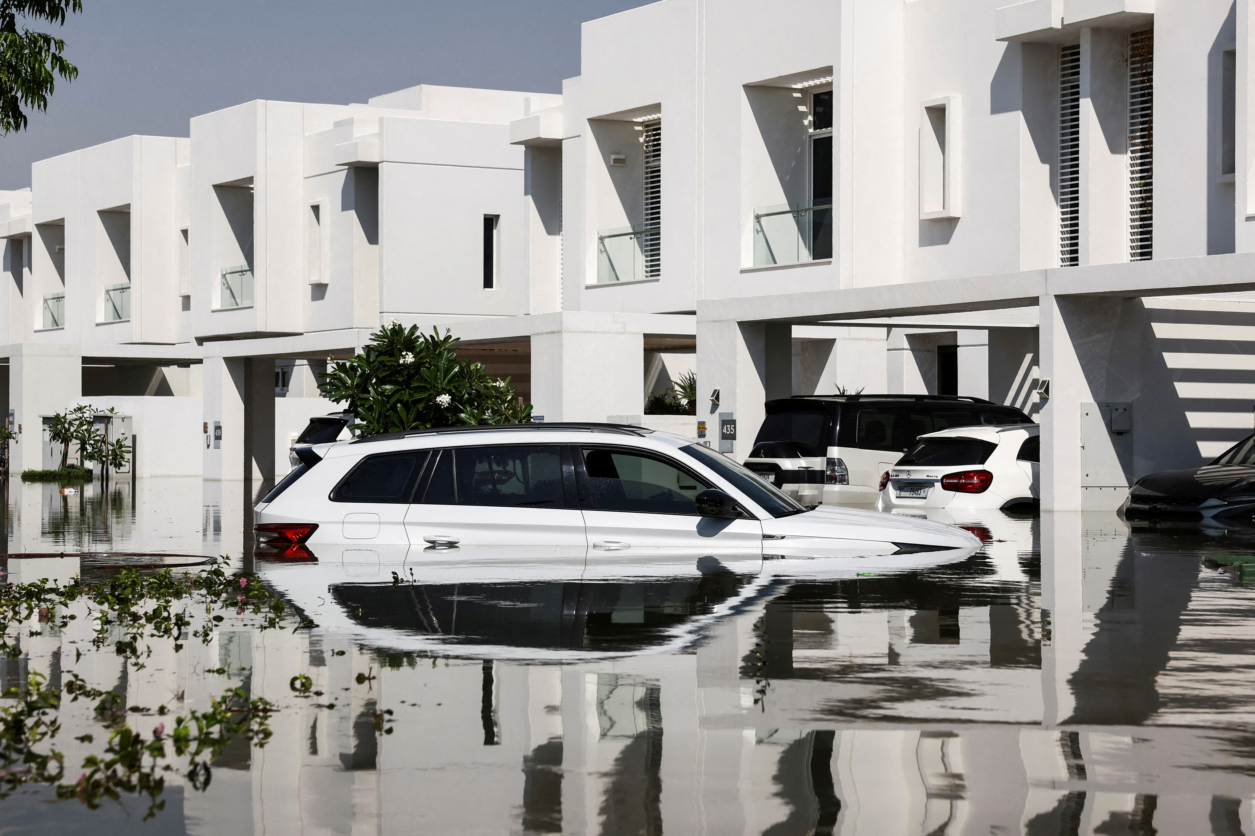 2024 yılına damgasını vuran fotoğraflar