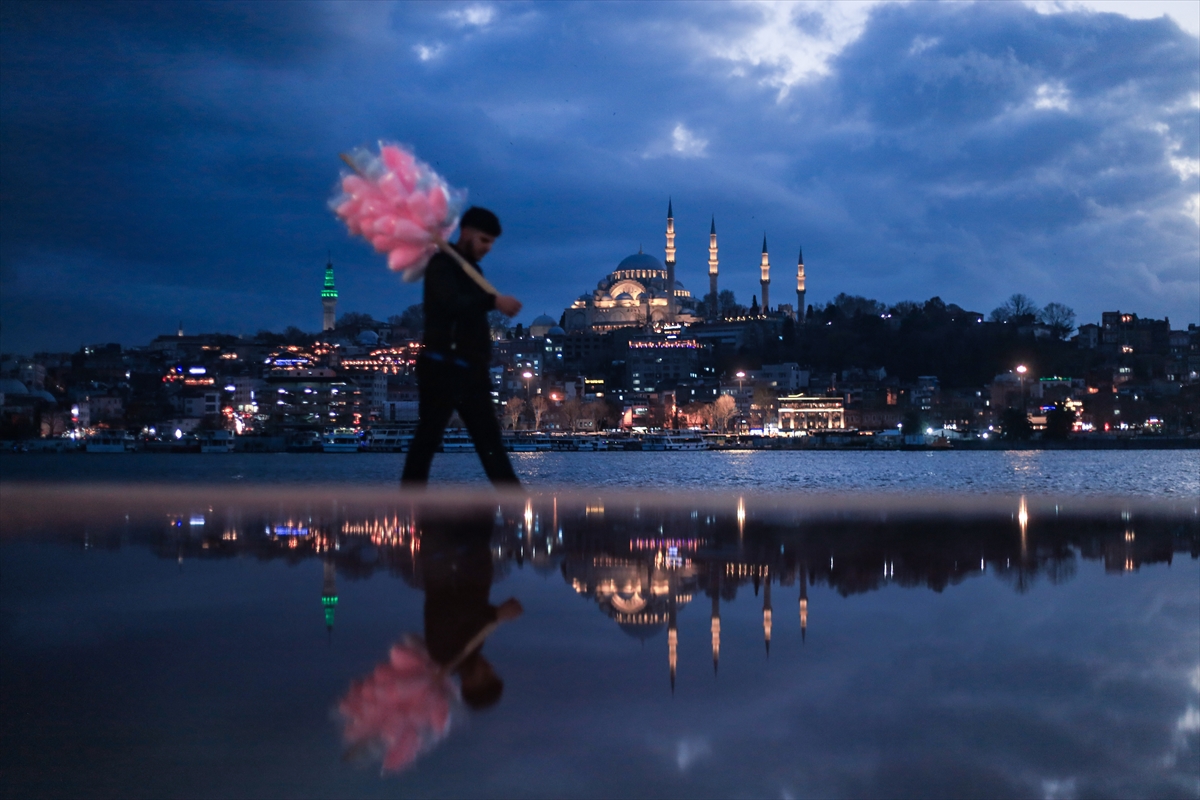 Yılın kareleri: Günlük hayat, doğal yaşam ve çevre