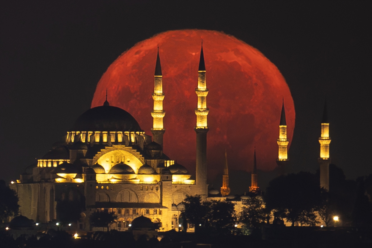 Yılın kareleri: Günlük hayat, doğal yaşam ve çevre