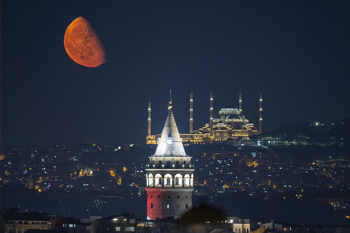 Yılın kareleri: Günlük hayat, doğal yaşam ve çevre