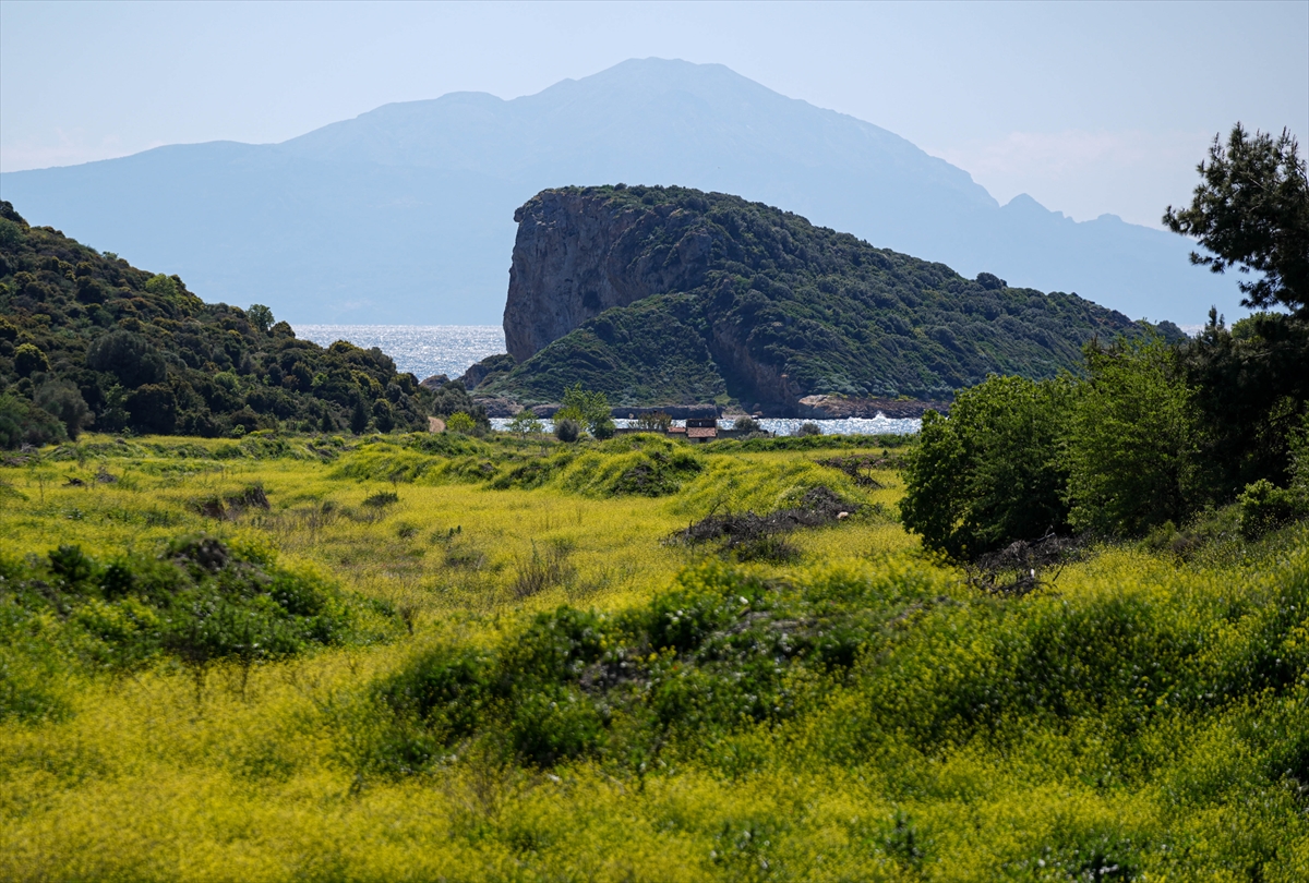 Çıfıt Adası'na yürünerek ulaşılıyor