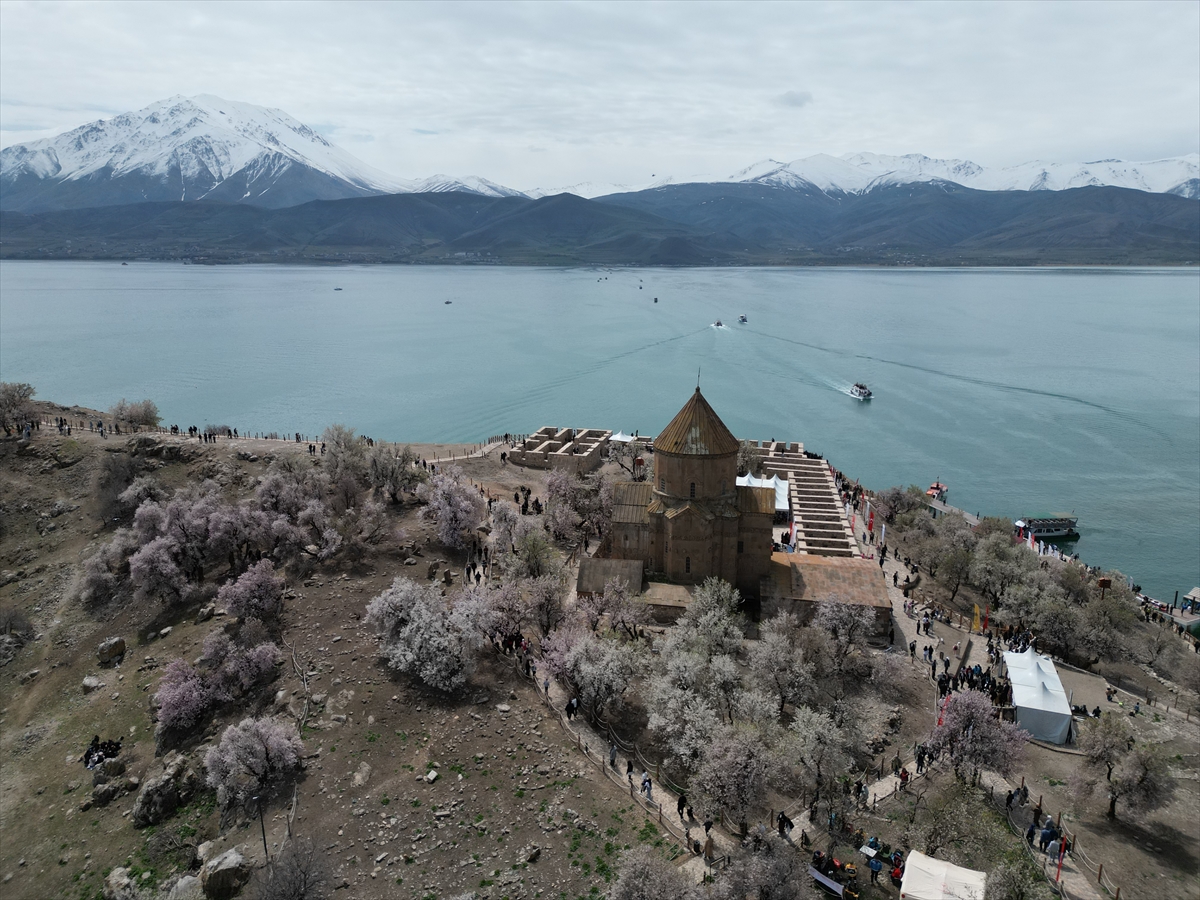 Akdamar Adası, Badem Çiçekleri Festivaliyle renkli görüntülere sahne oldu
