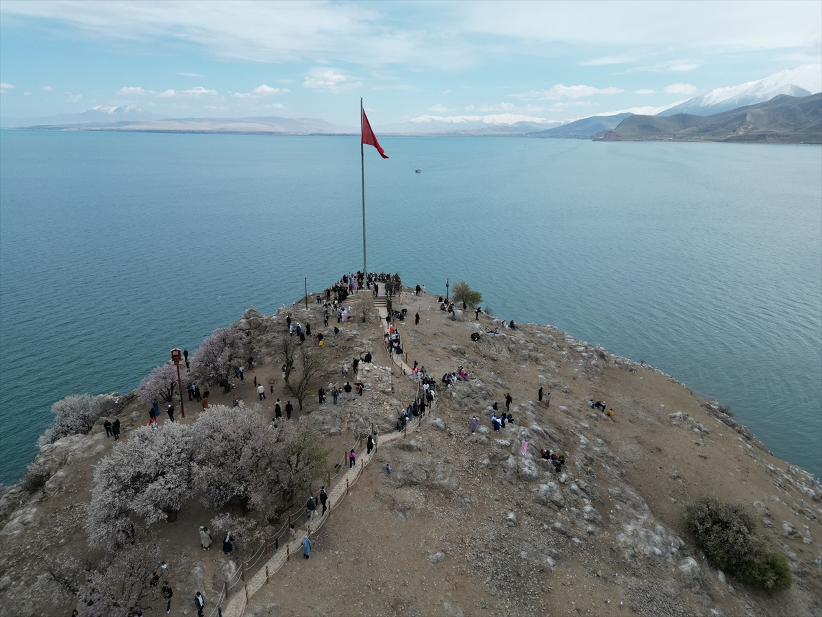 Akdamar Adası, Badem Çiçekleri Festivaliyle renkli görüntülere sahne oldu