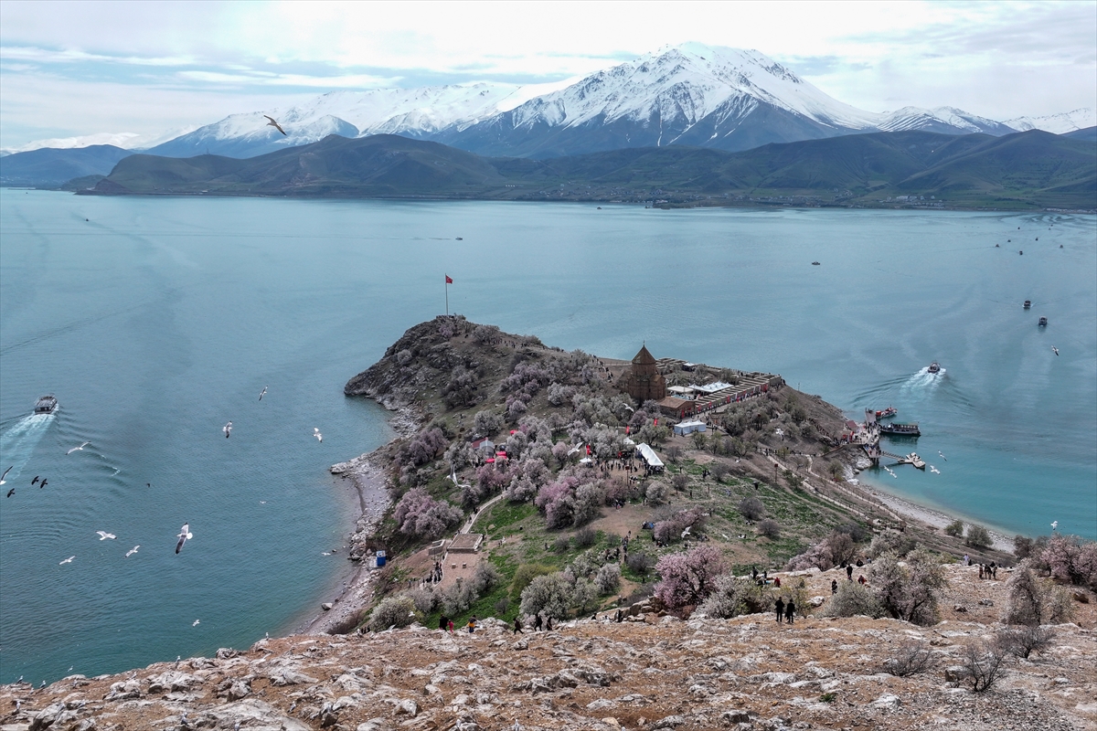Akdamar Adası, Badem Çiçekleri Festivaliyle renkli görüntülere sahne oldu