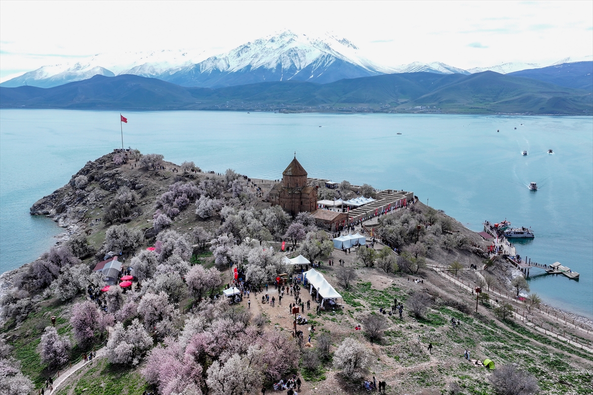 Akdamar Adası, Badem Çiçekleri Festivaliyle renkli görüntülere sahne oldu