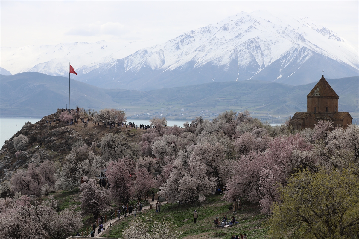Akdamar Adası, Badem Çiçekleri Festivaliyle renkli görüntülere sahne oldu