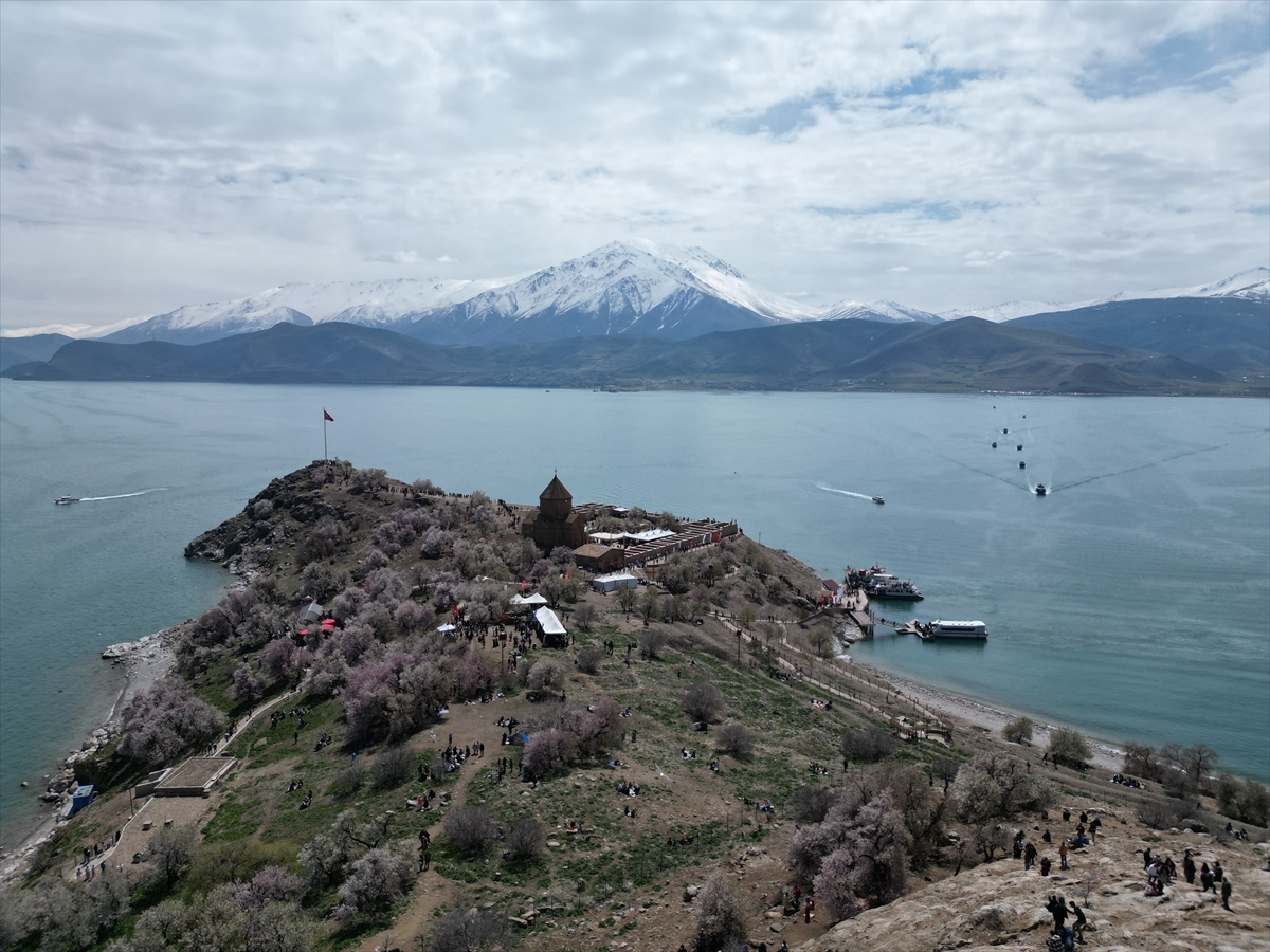 Akdamar Adası, Badem Çiçekleri Festivaliyle renkli görüntülere sahne oldu