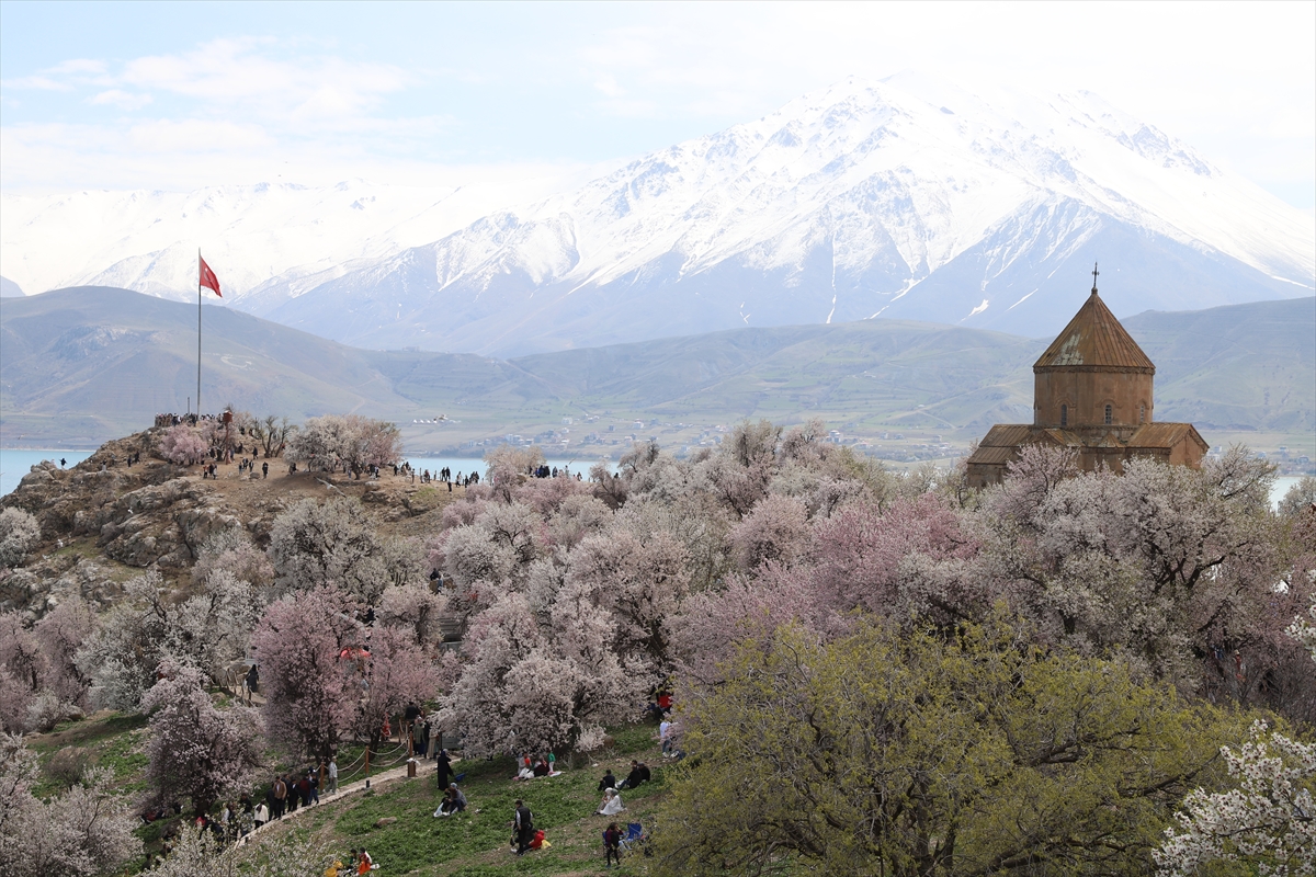 Akdamar Adası, Badem Çiçekleri Festivaliyle renkli görüntülere sahne oldu