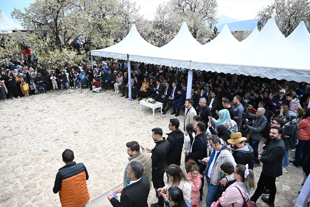 Akdamar Adası, Badem Çiçekleri Festivaliyle renkli görüntülere sahne oldu