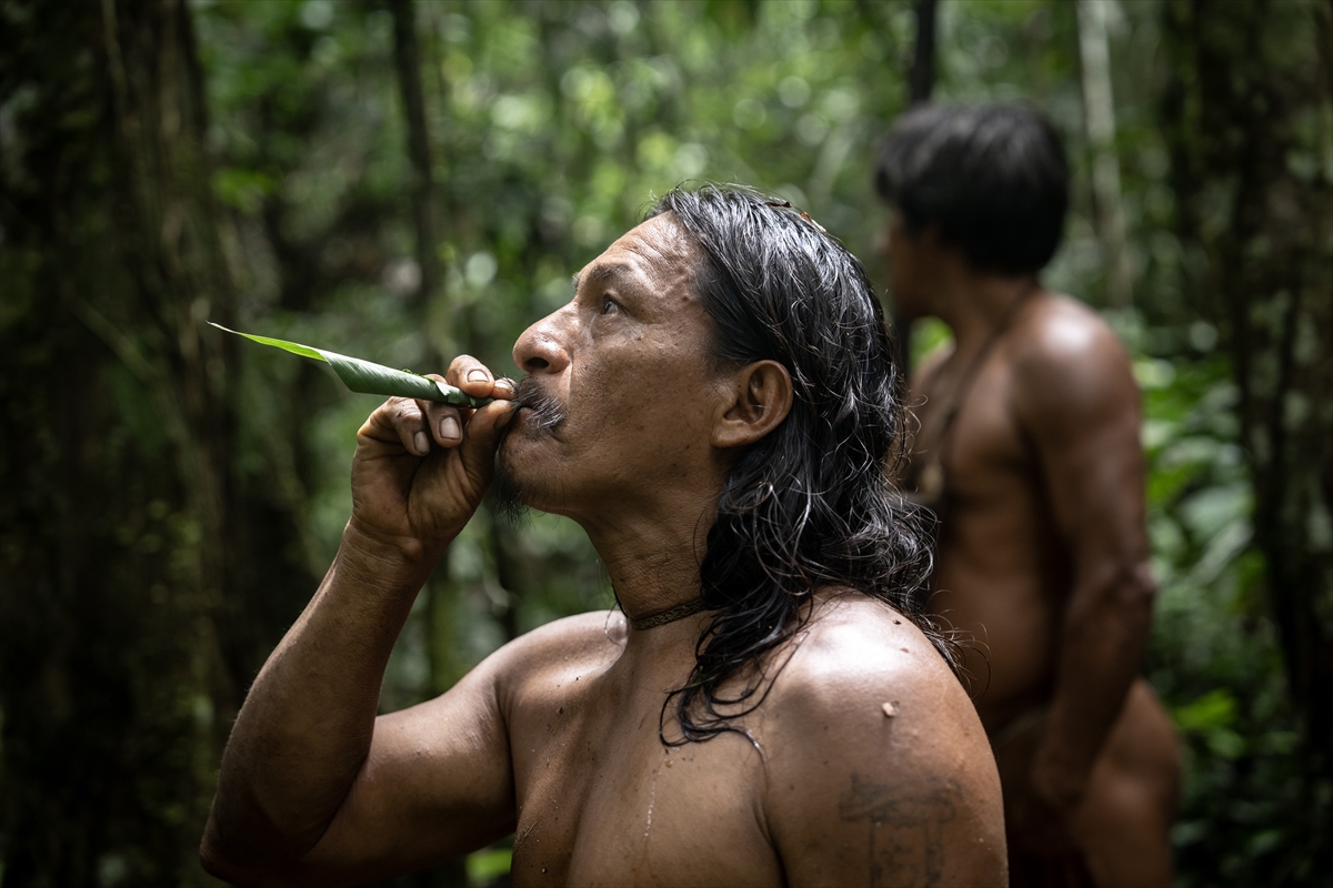Amazon Ormanları'nın koruyucu kabilesi Waoranilerin hayat mücadelesi