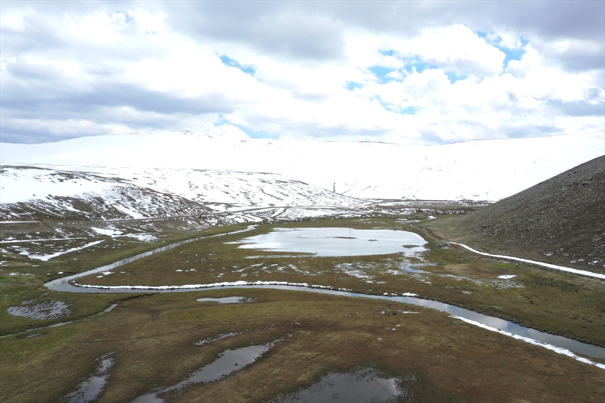 Ağrı'da bahar ve kışın buluştuğu manzara