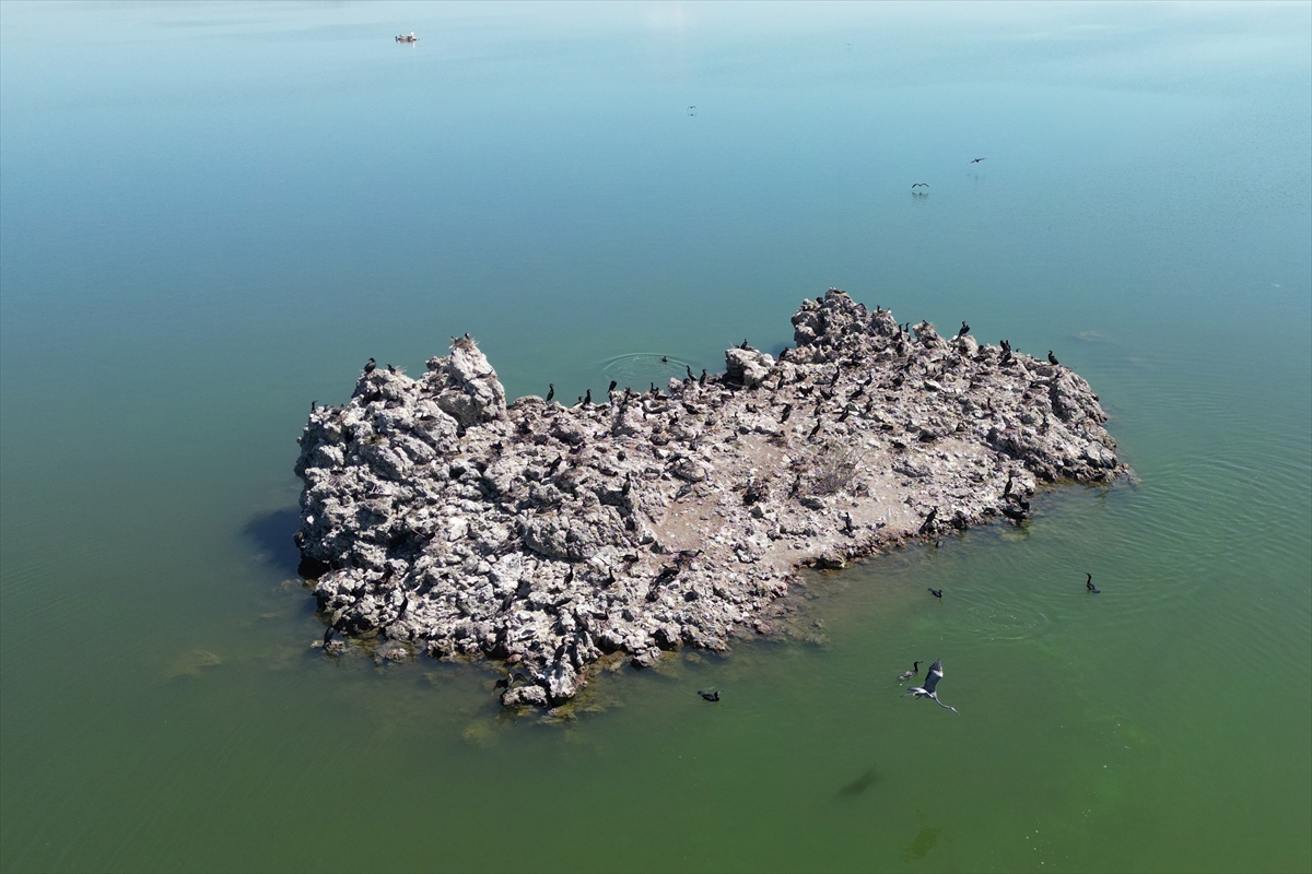 Manisa'daki lav kalıntıları göçmen kuşlarla canlandı