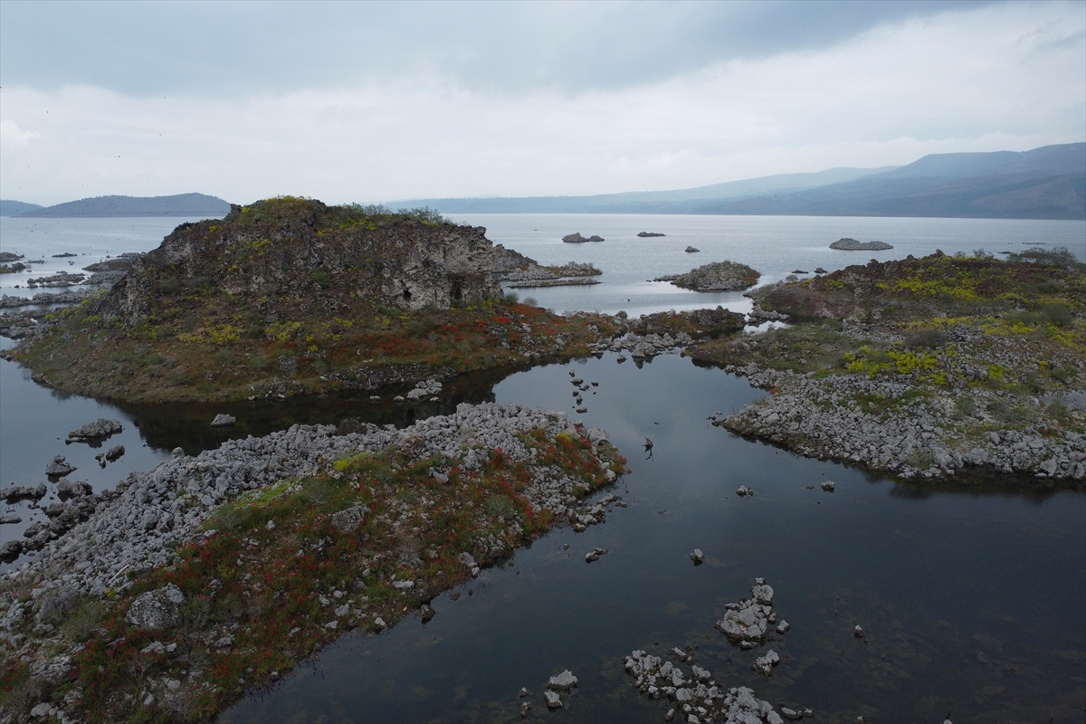 Manisa'daki lav kalıntıları göçmen kuşlarla canlandı